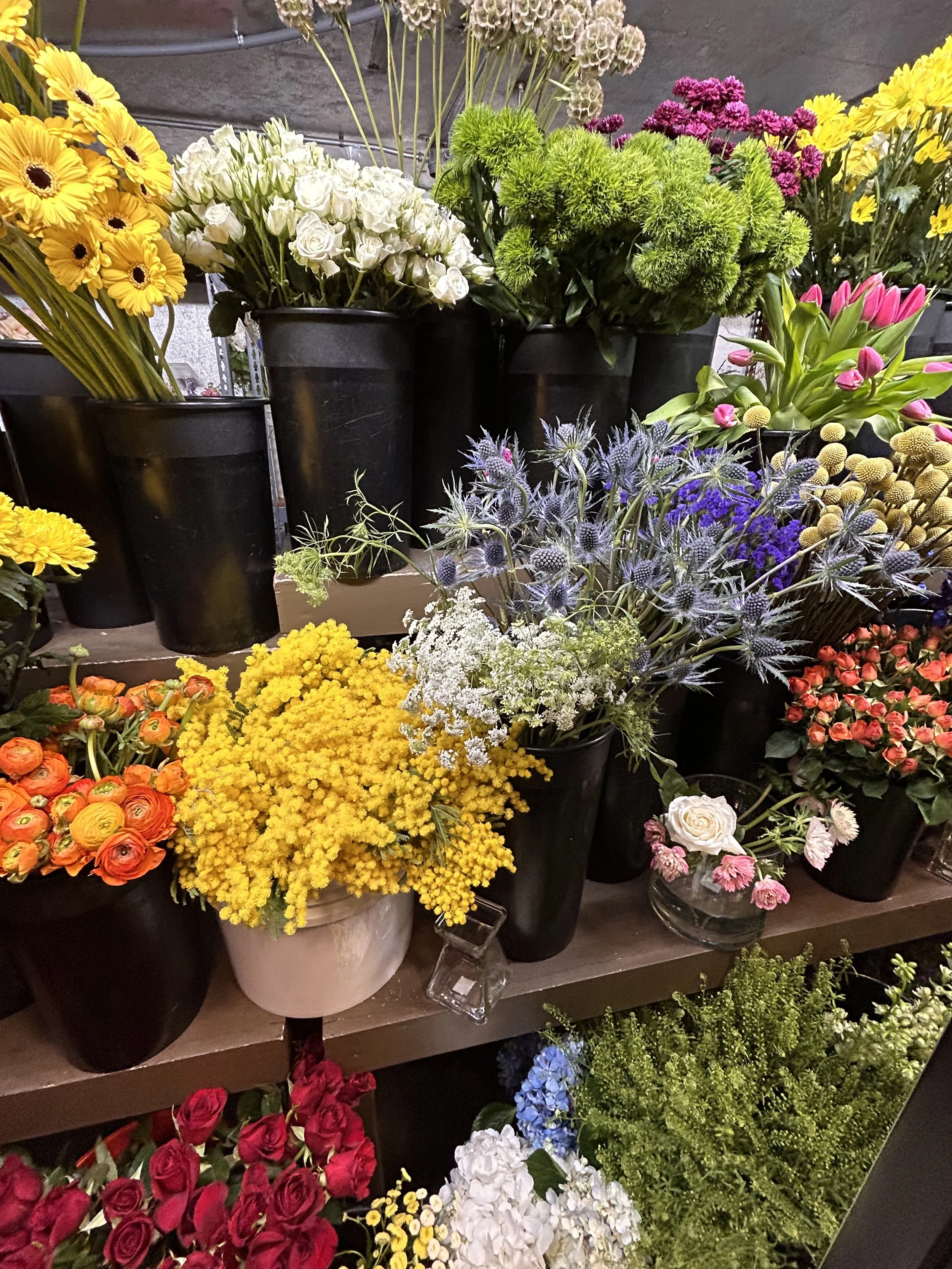 Various colorful flowers in black pots on shelves, full and available for sale.