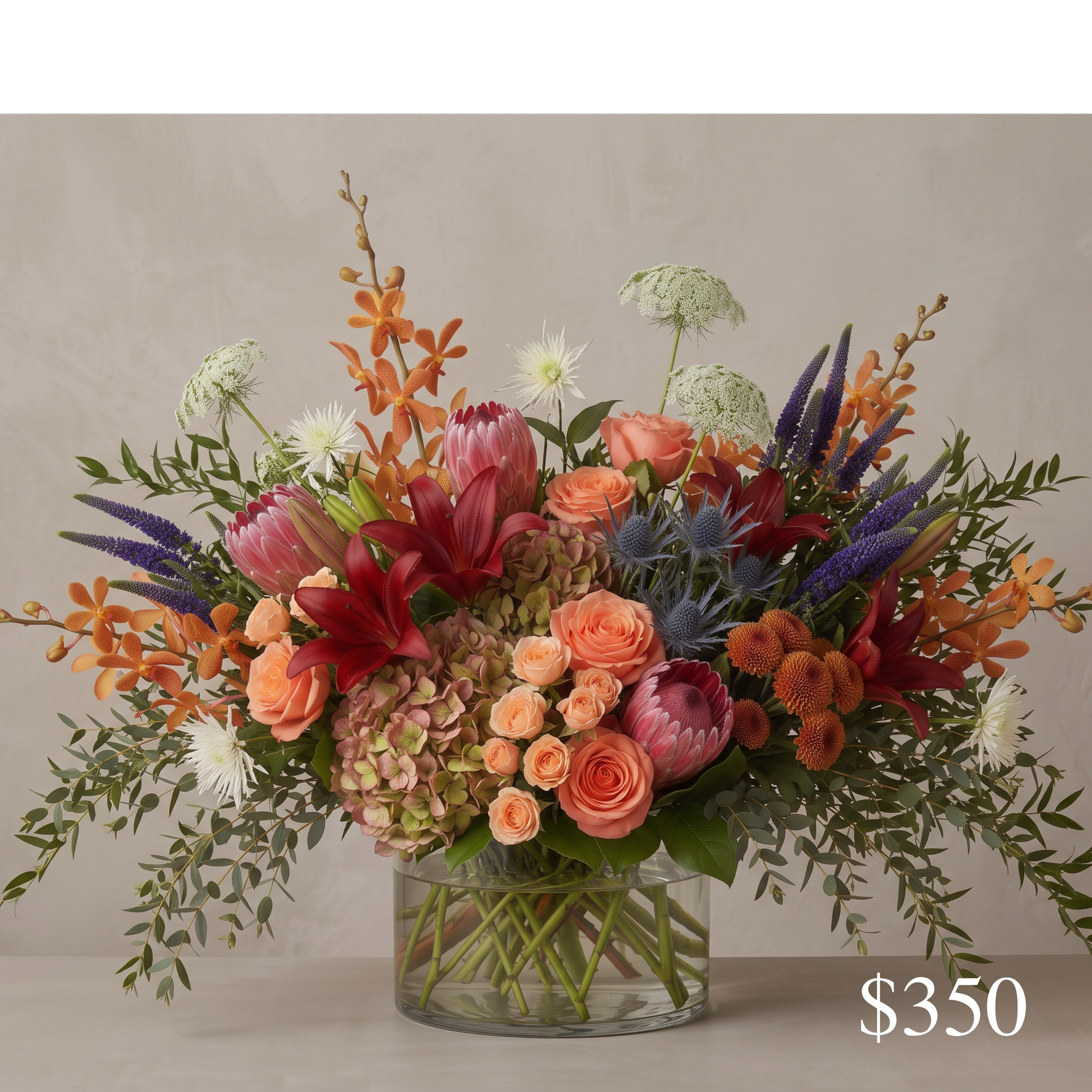 regal autumn 350.png