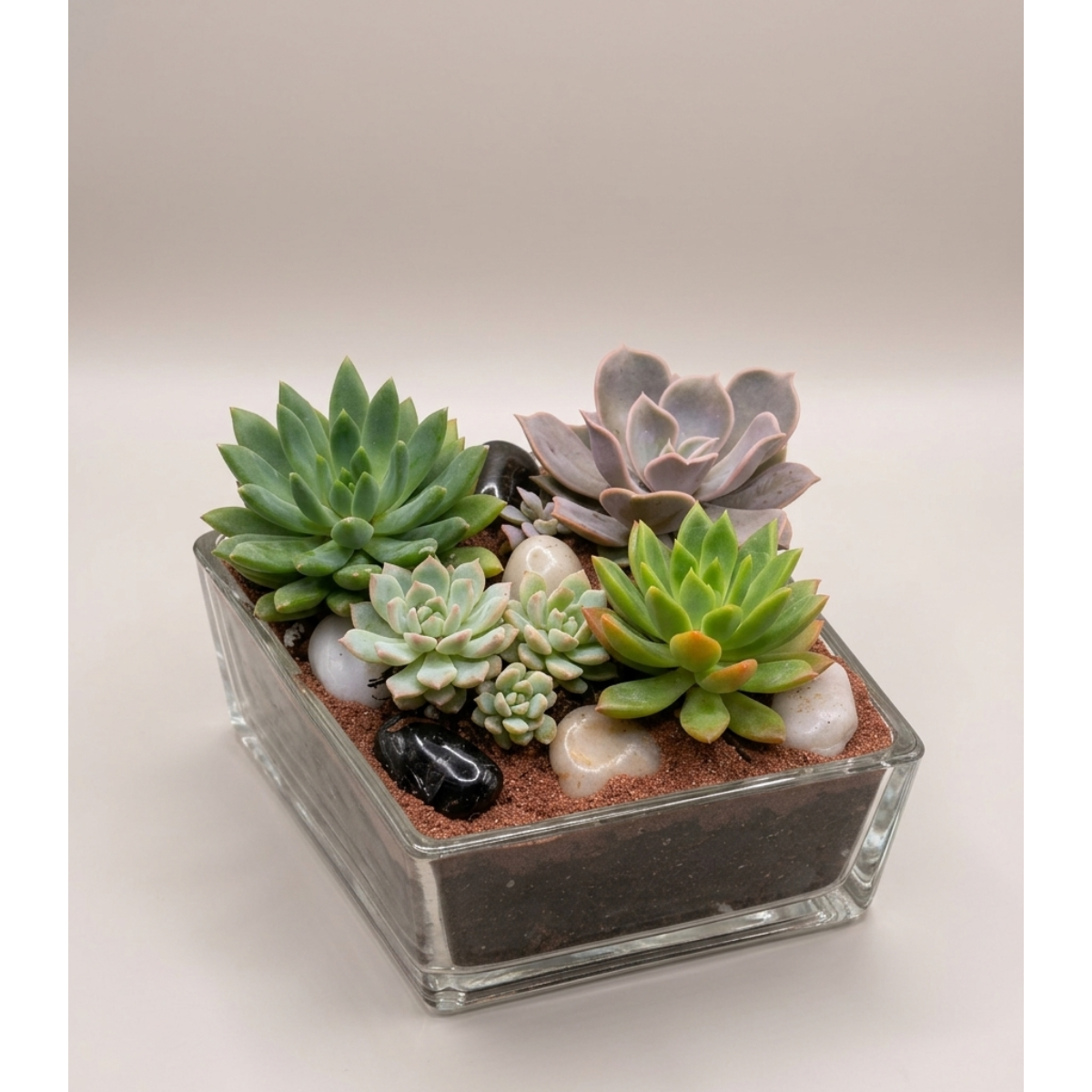succulant garden diamond vase.png