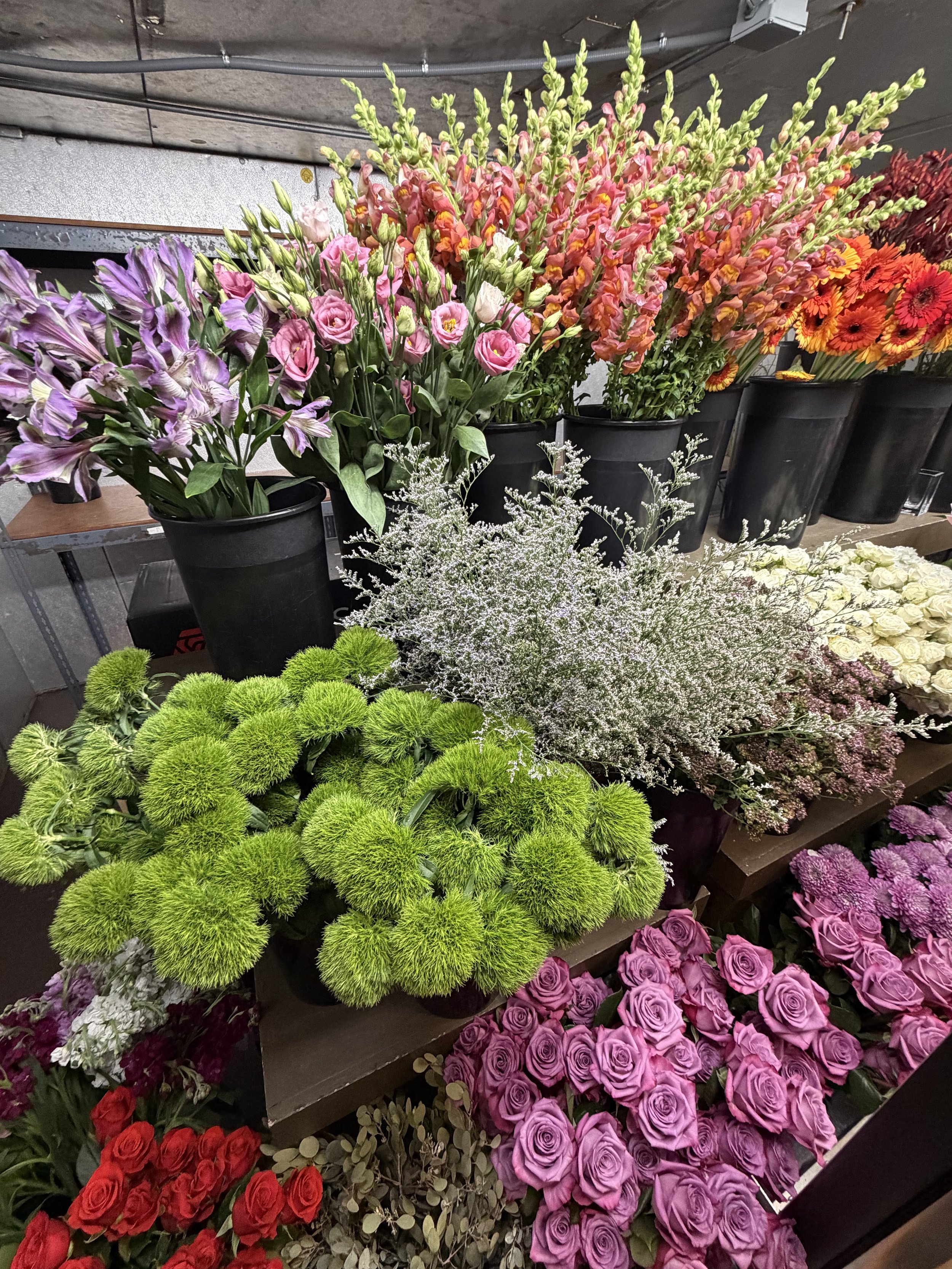 Arrangement of various colorful flowers in black pots on a display shelf, including pink, orange, purple, red, white, and green blooms.