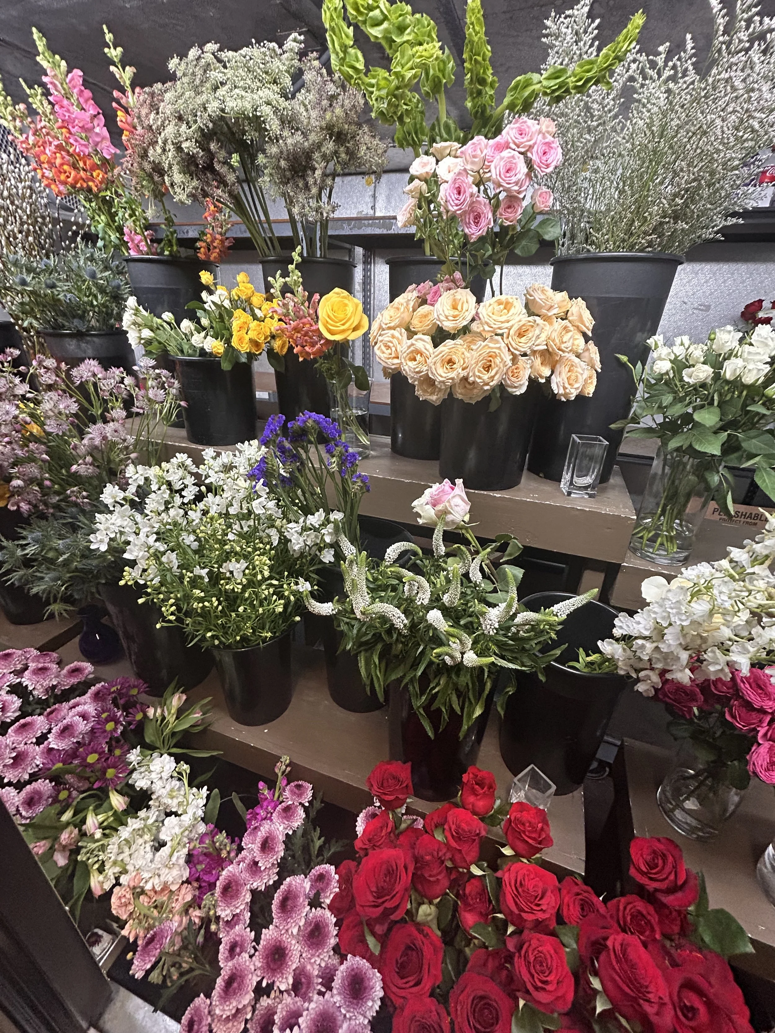 pink & yellow lilies, white veronica, white delphinium, snapdragons, bells of Ireland, chrysanthemums (mums), Queen Anne’s lace, pussy willow, fragrant stock, white dianthus, and more.