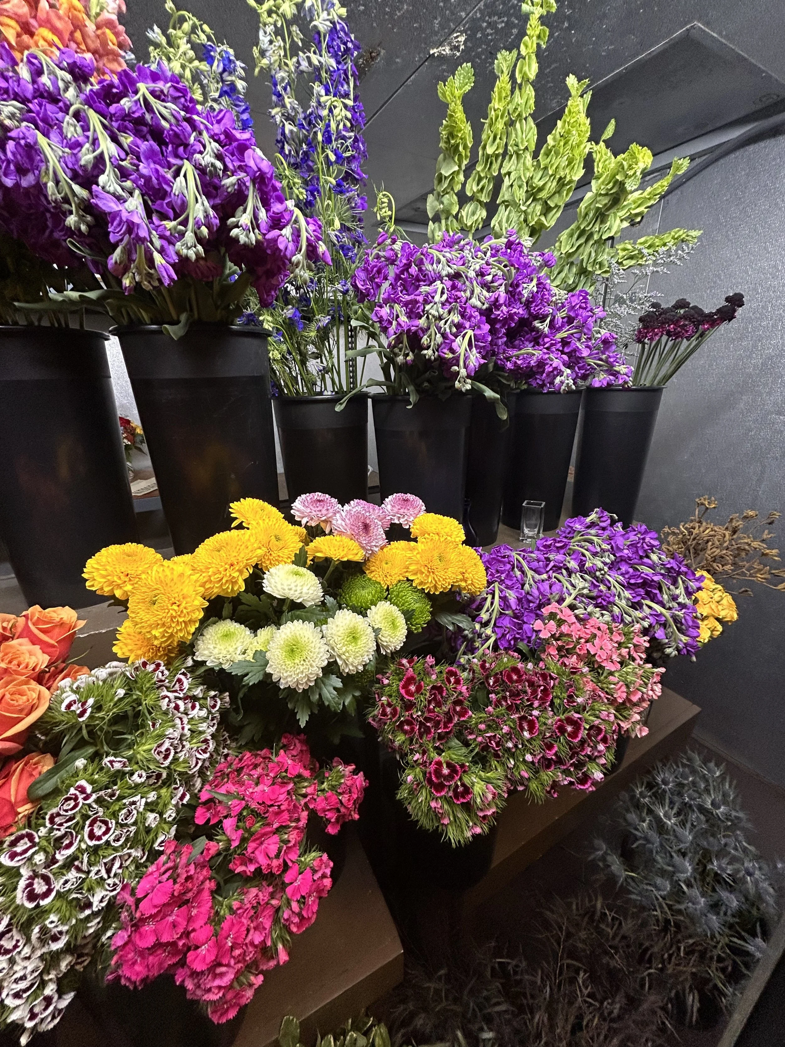 Various colorful flowers in black buckets on display, including purple stock, yellow snapdragons, bells of Ireland, and other white, pink, and red blooms.