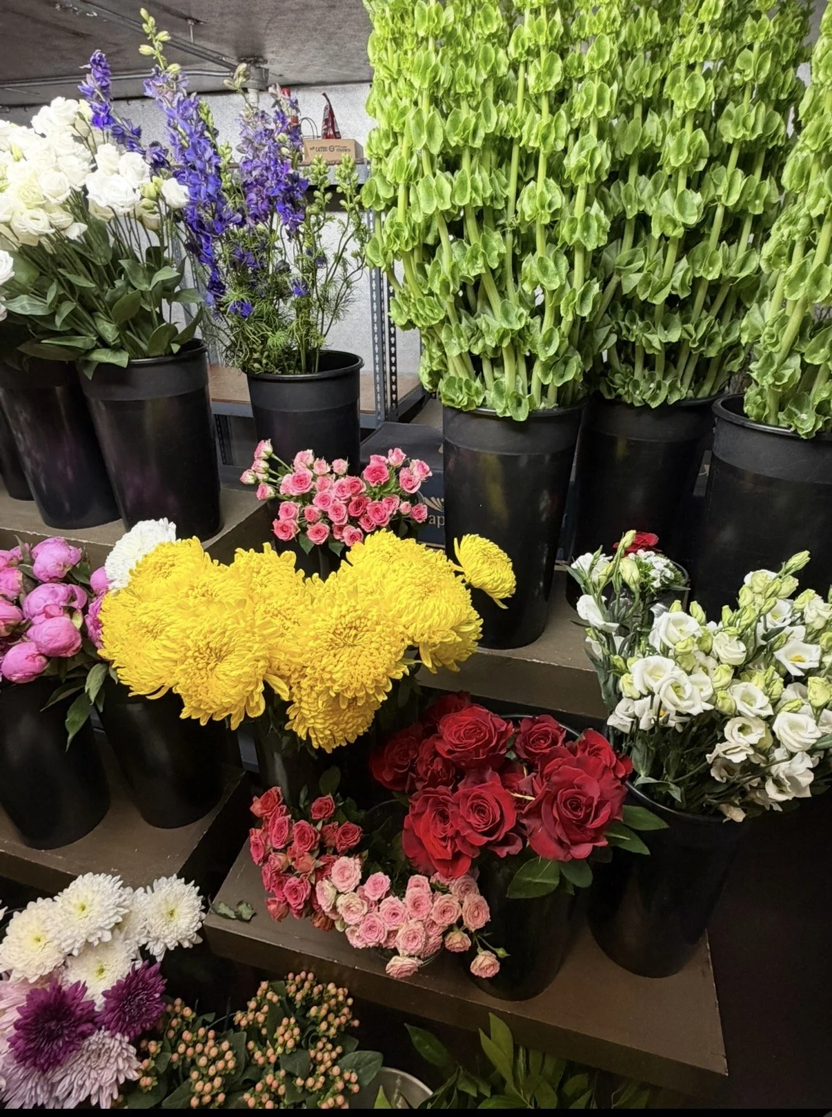 Various colorful flowers in black pots on display, including white, purple, pink, yellow, red, and white roses, as well as green leafy plants.