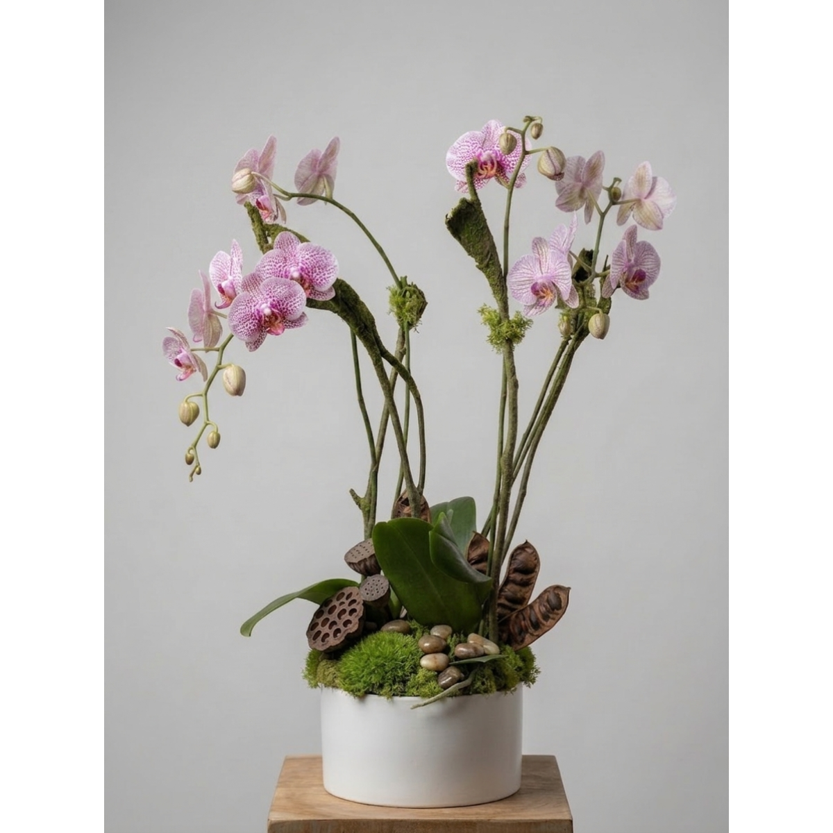 2 double stem 4 orchid in white ceramic 2.png