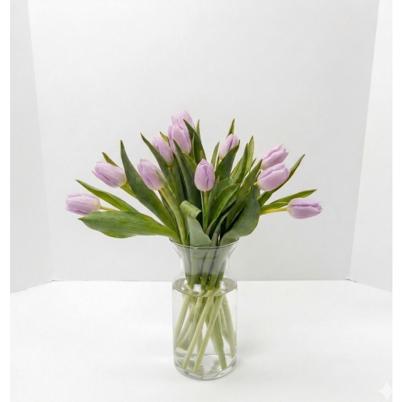 1 bunches purlpe of tulips final.png