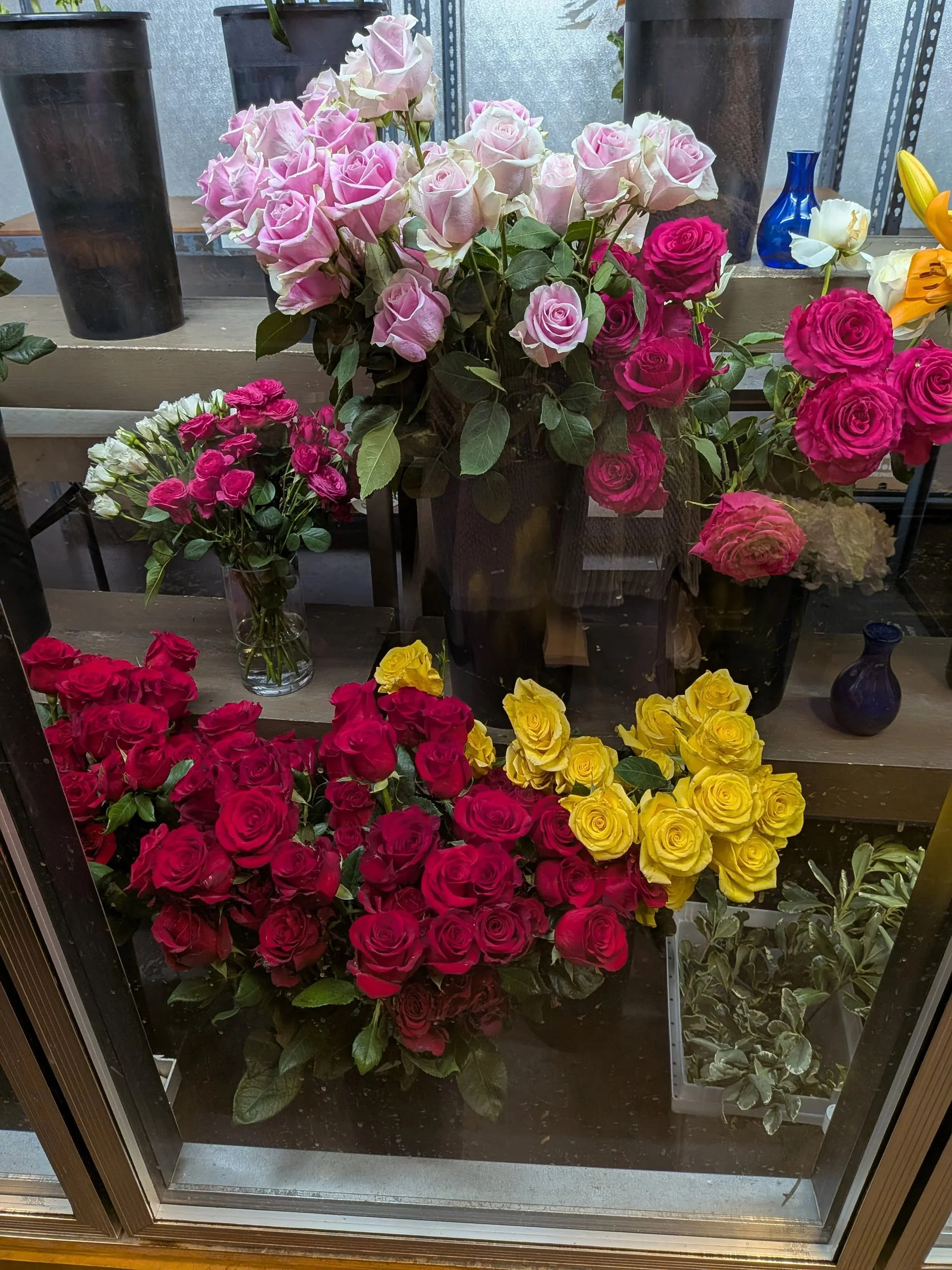 Display of various colorful roses in vases and pots behind a glass window.