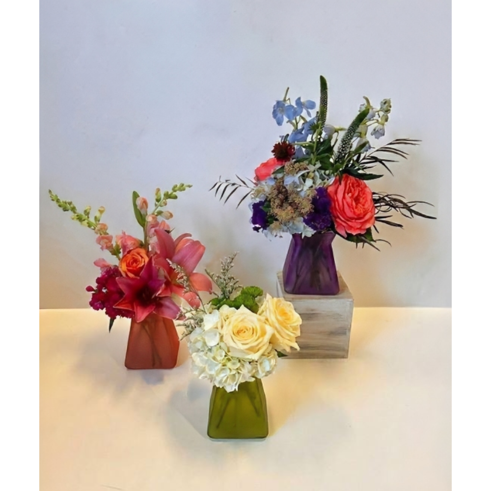 Petite Cadeau - $35-$50