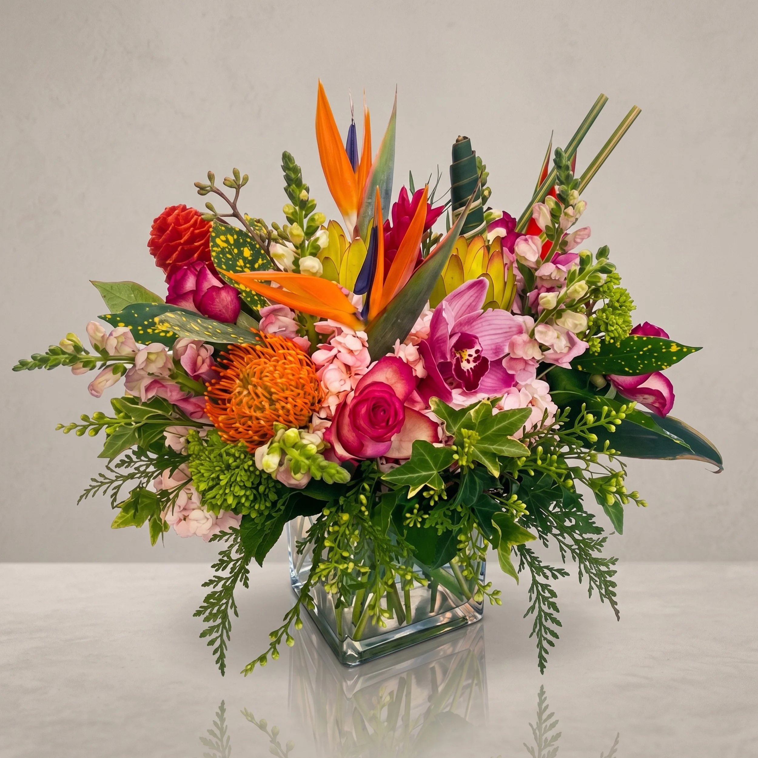 designer's choice tropical low.jpg