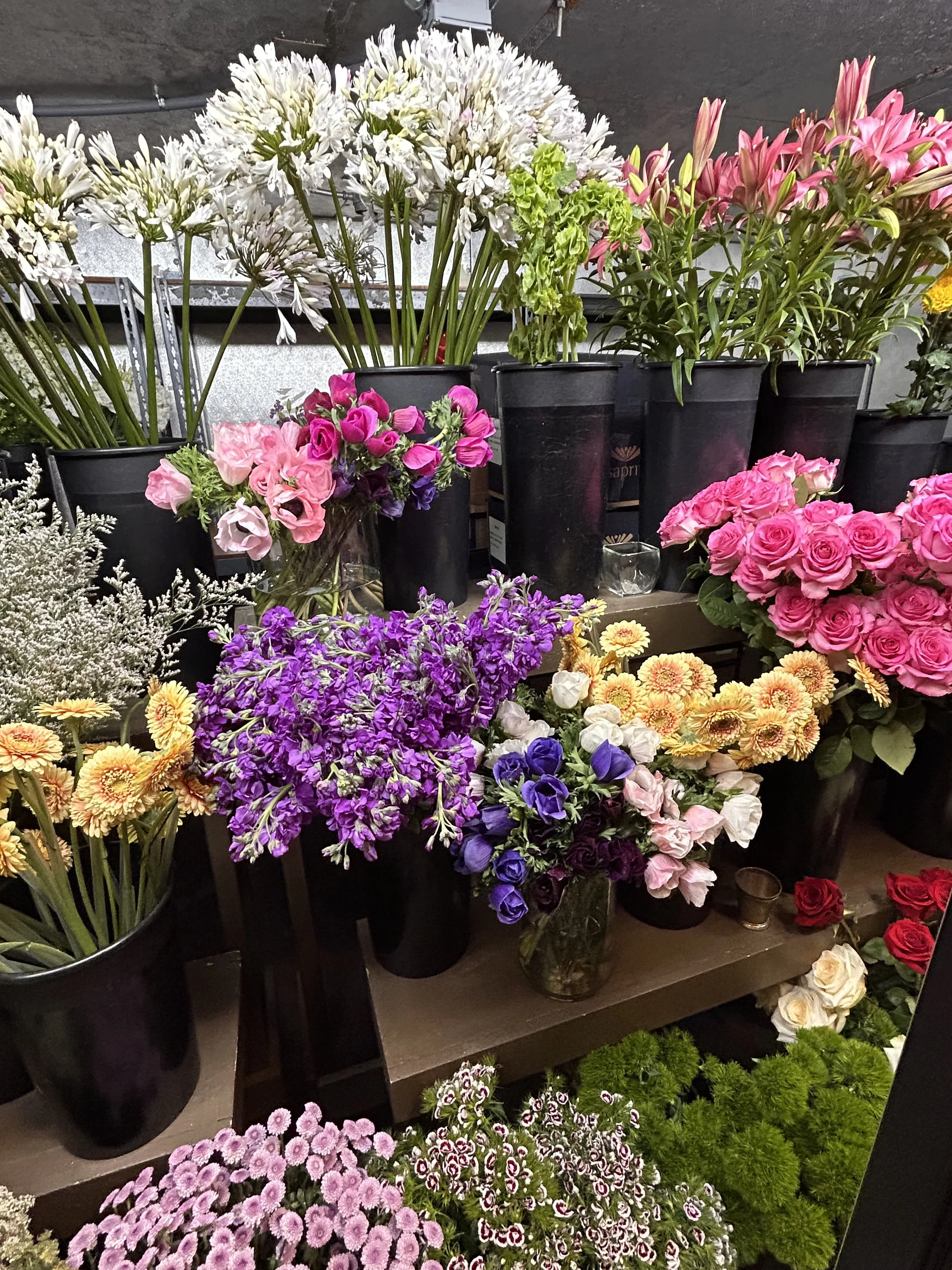 Various colorful flowers in black pots and clear vases, including white, pink, purple, yellow, and red, displayed on shelves.