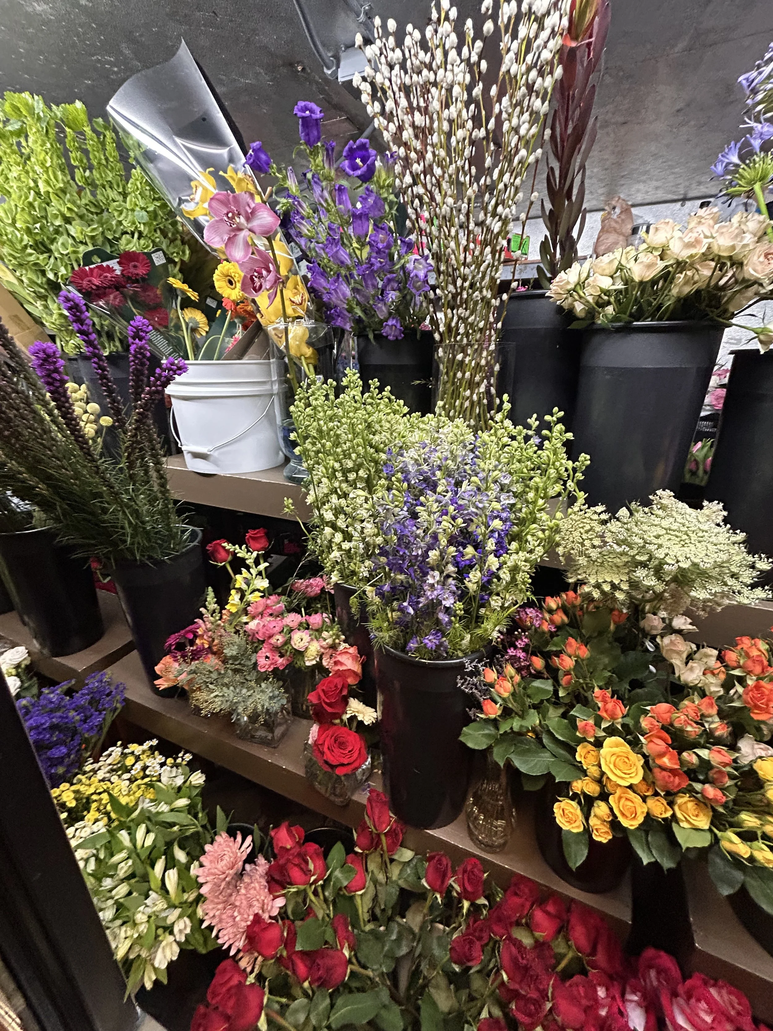 The inside of a flower cooler featuring bells of Ireland, pussy willow, red roses, altromeria, liatris, pale pink spray roses, and more