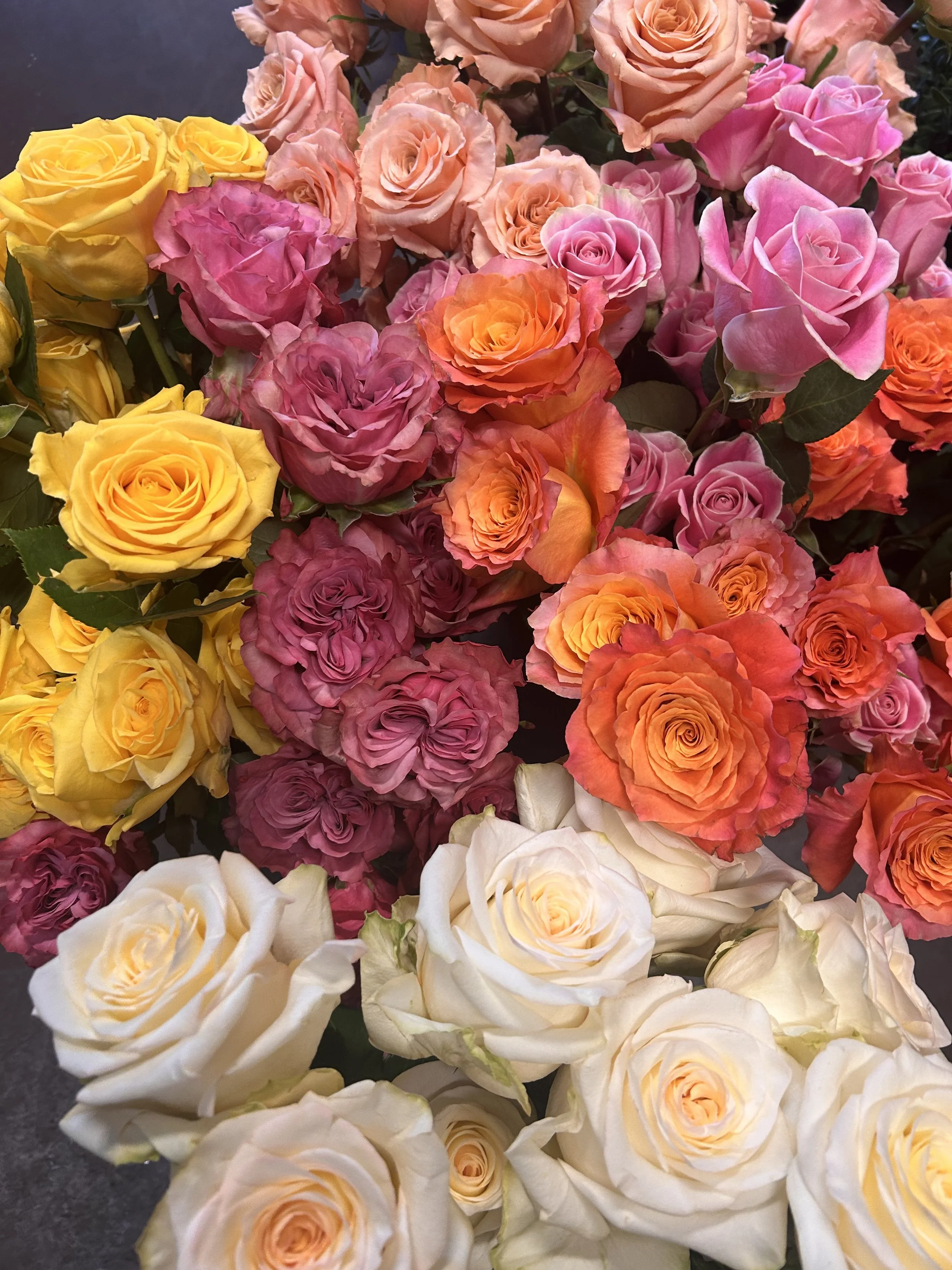 Roses this week are available in classic red, bi-color pink and orange, bubblegum pink, yellow, pale pink, cream, and mauve