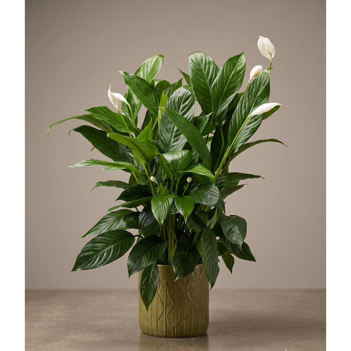peace lily in green leaf ceramic.png
