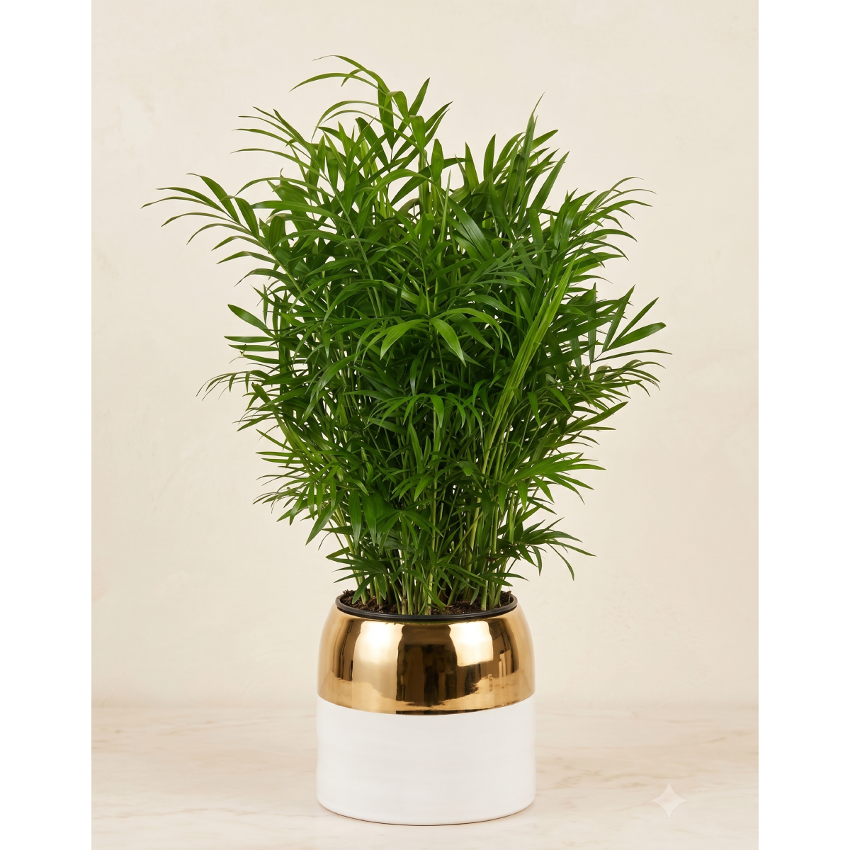 small palm in gold ceramic.png