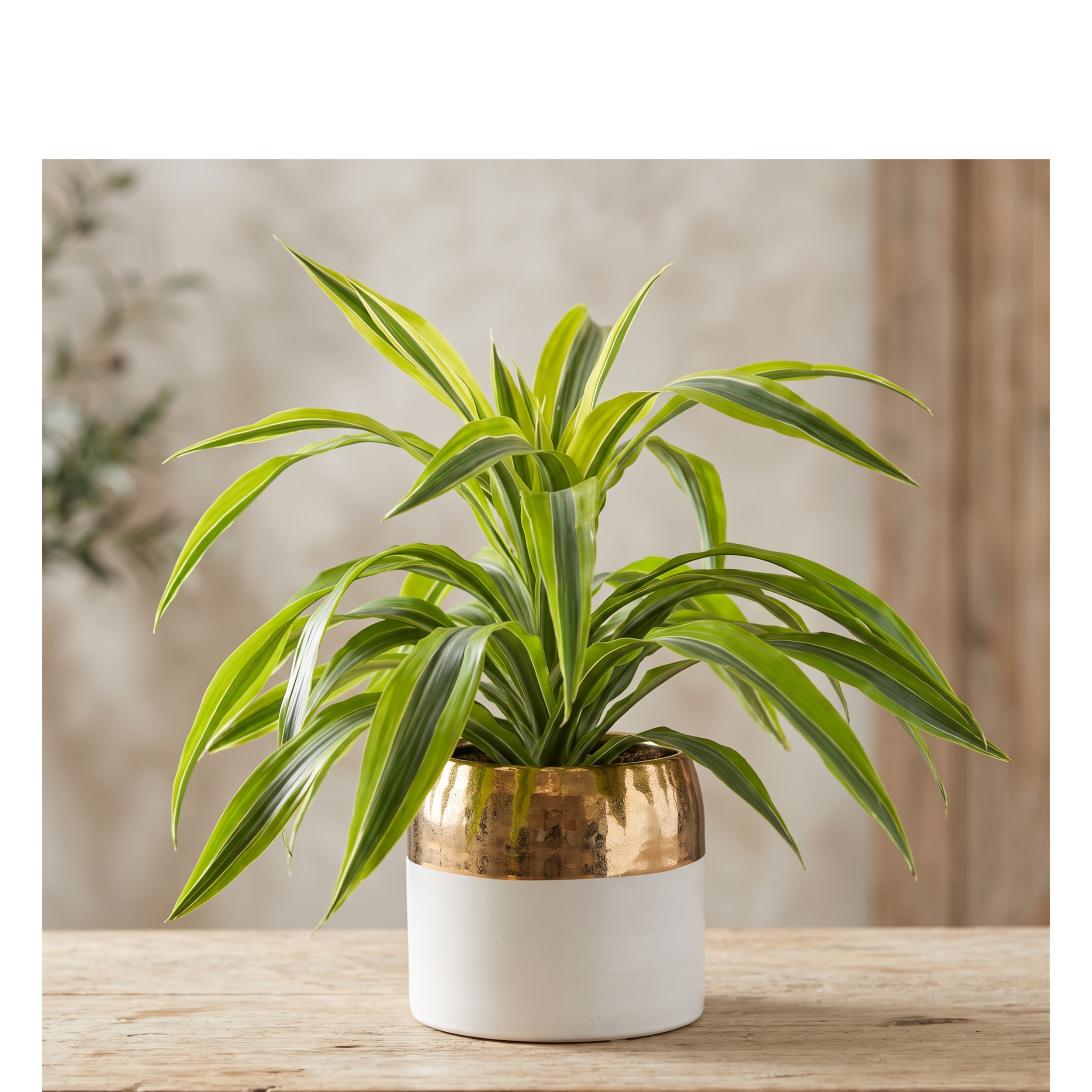 lemon lime in white and gold ceramic.png