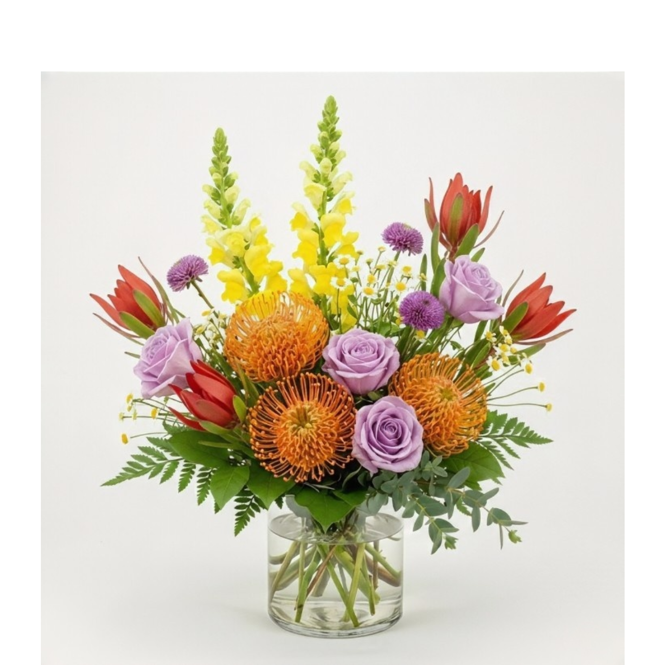 Protea Fun final vday cropped 2026.png (Copy)