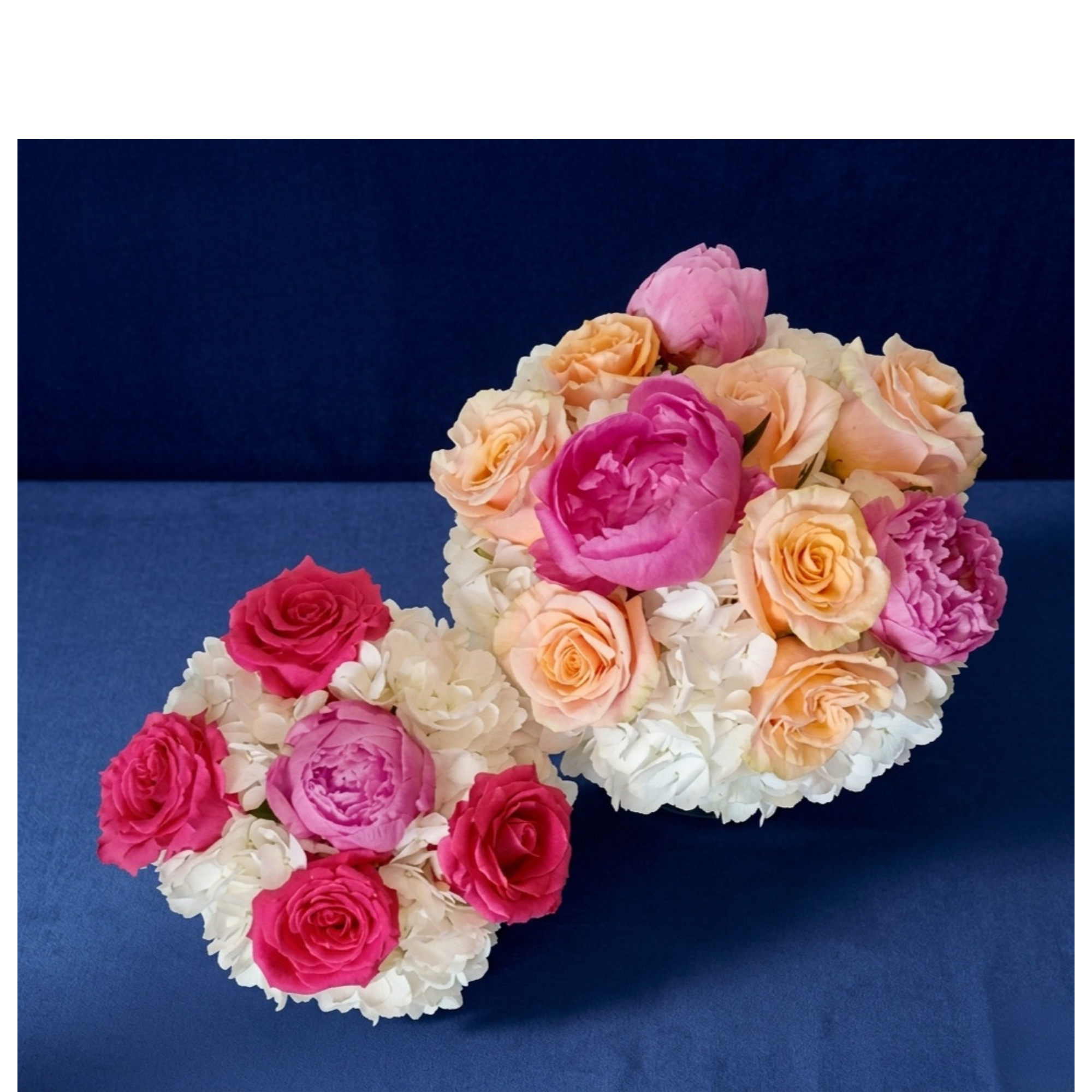 precious petals updated 2.png (Copy)
