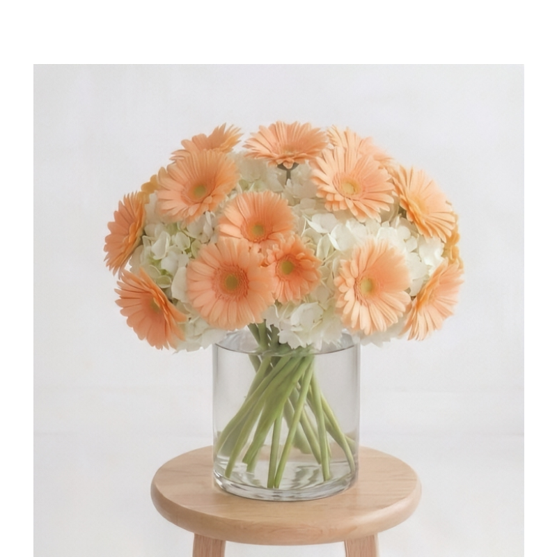 gerb your enthusiasm peach 1.png