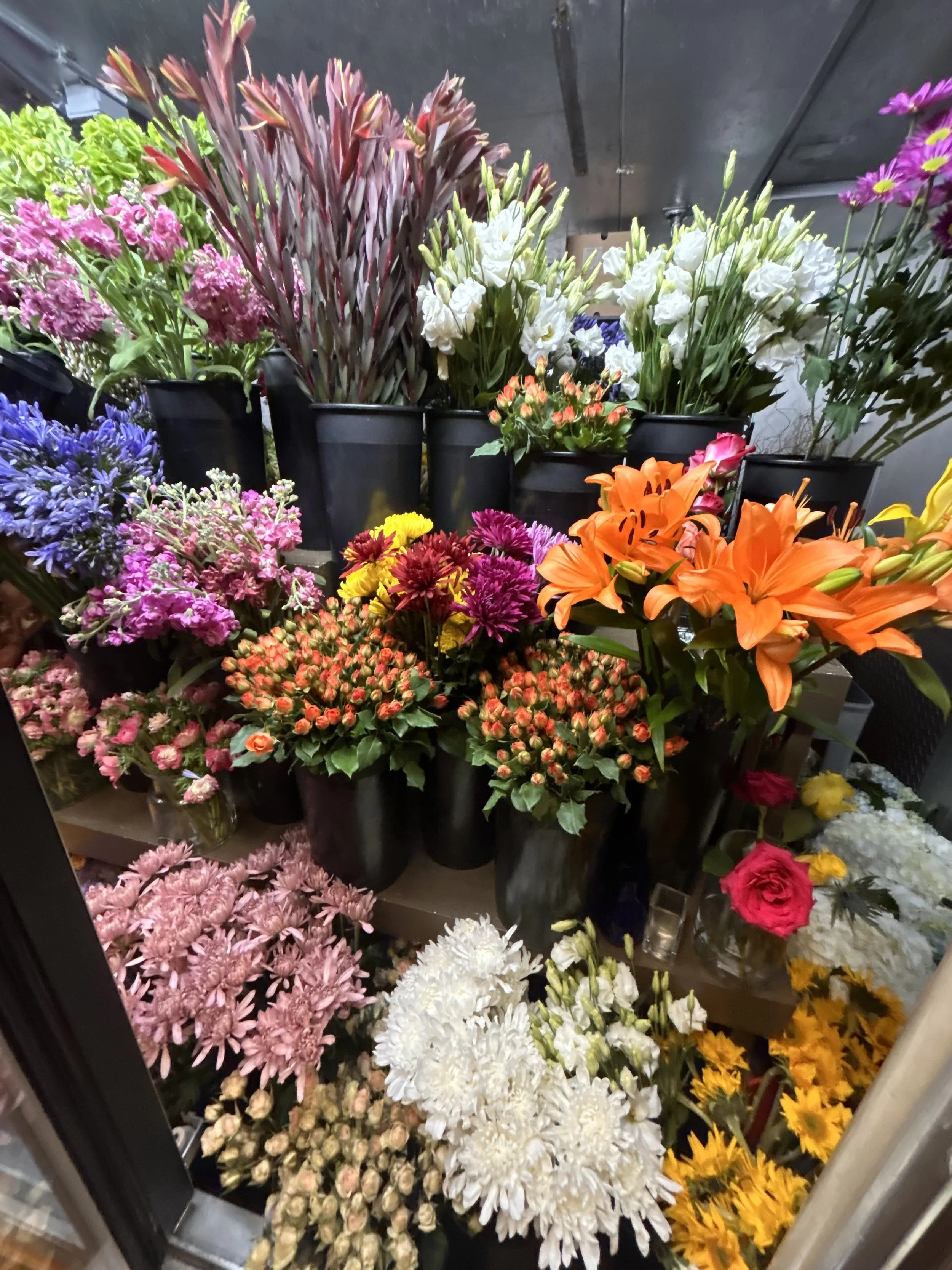 A shot of a cooler packed full with various flowers including orange lilies, white lisianthus, orange spray roses, white chrysanthemums, safari sunset leucadendron, pink stock, gerbera daisies, and more.