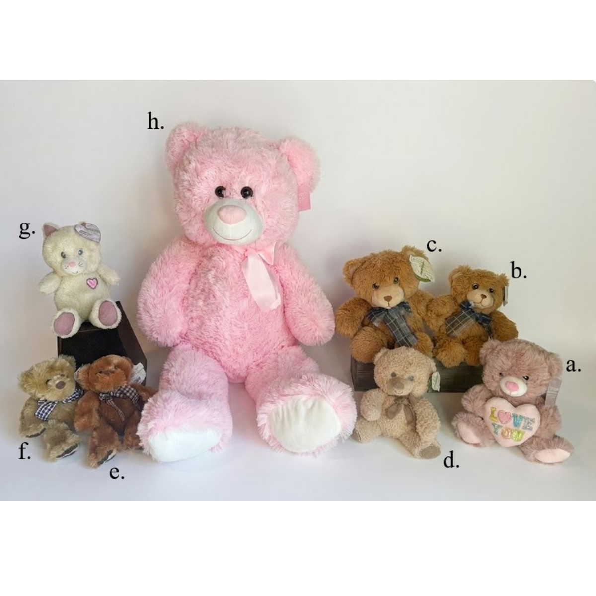 plush bears plain background.png