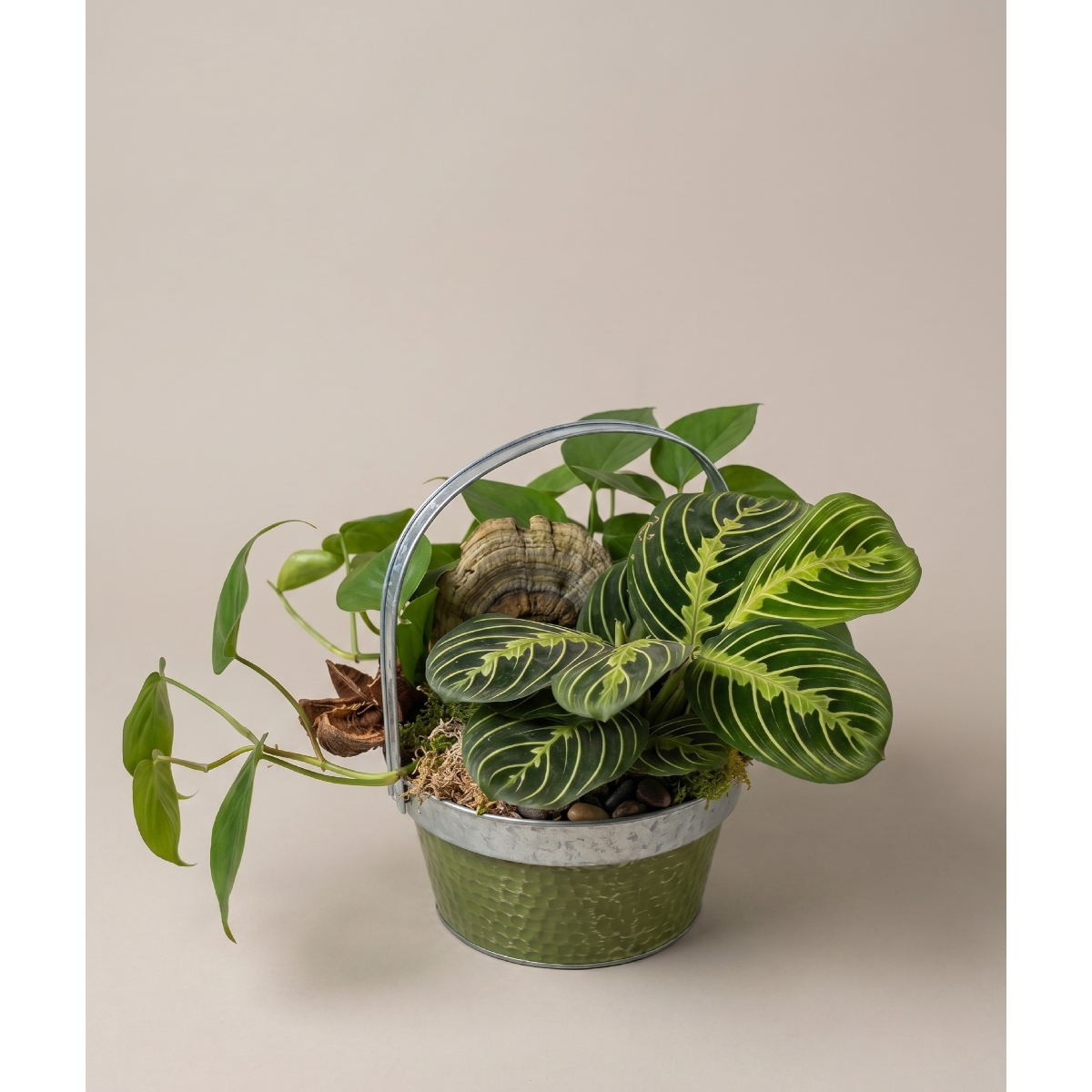 small dishgarden - $60.png