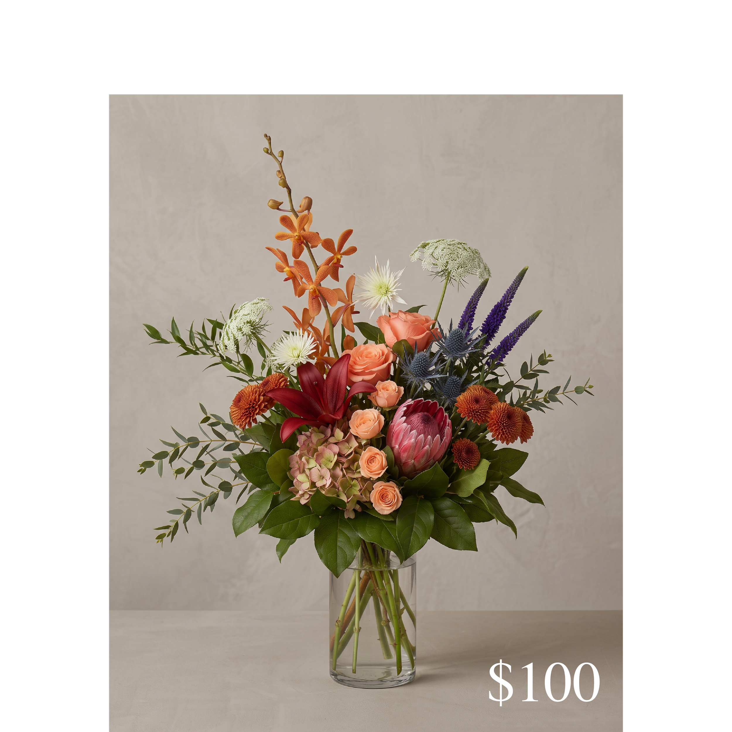regal autumn 100.png