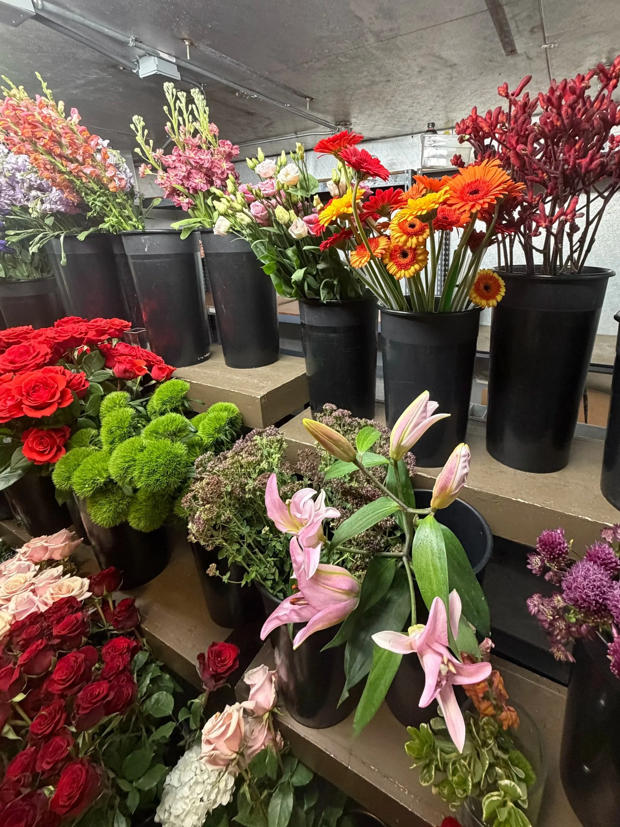 Various colorful flowers including pink lilies, orange gerbera daisies, purple and pink stock flowers, green trick, snapdragons, and red roses arranged in black pots on shelves in a store or flower shop.