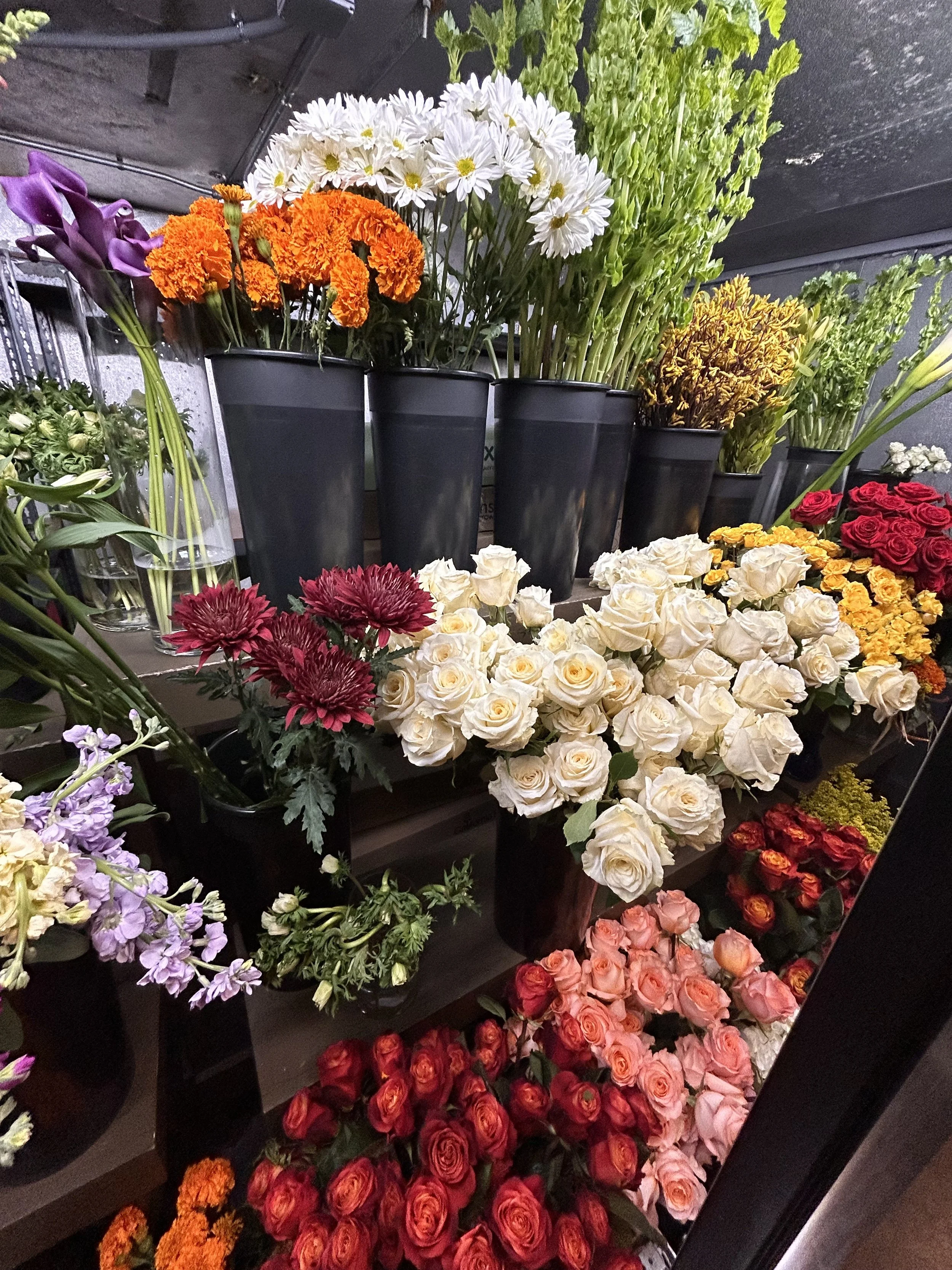 Various flowers in black pots and vases, including white daisies, orange marigolds, purple calla lilies, red roses, pink roses, and purple lavender on shelves.
