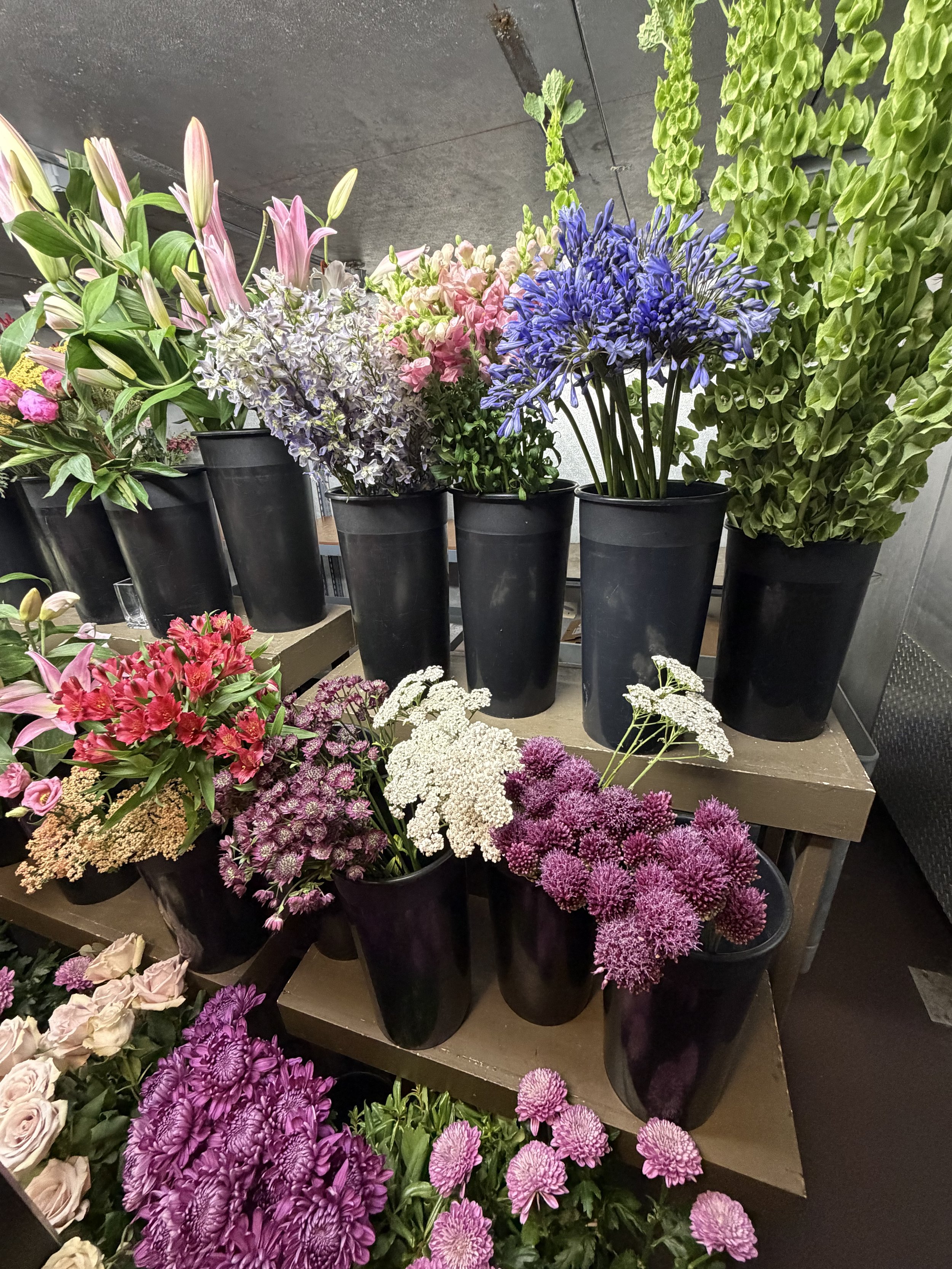 Various colorful flowers in black pots displayed on shelves, including pink lilies, purple agapanthus, white and pink gerbera daisies, and purple chrysanthemums.