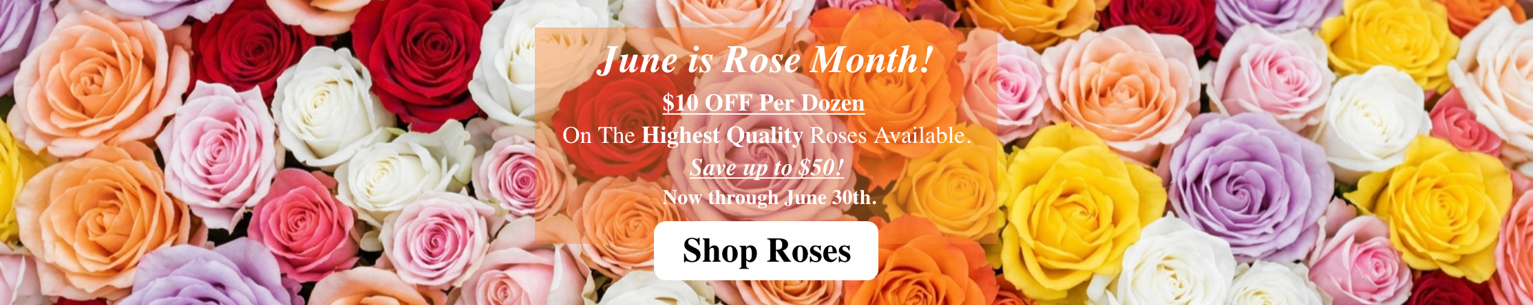 rose special june banner.png