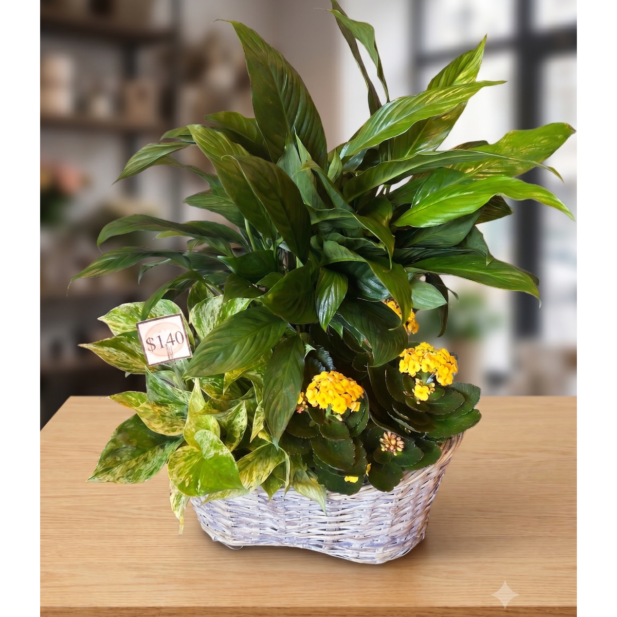 triple basket kalanchoe.png