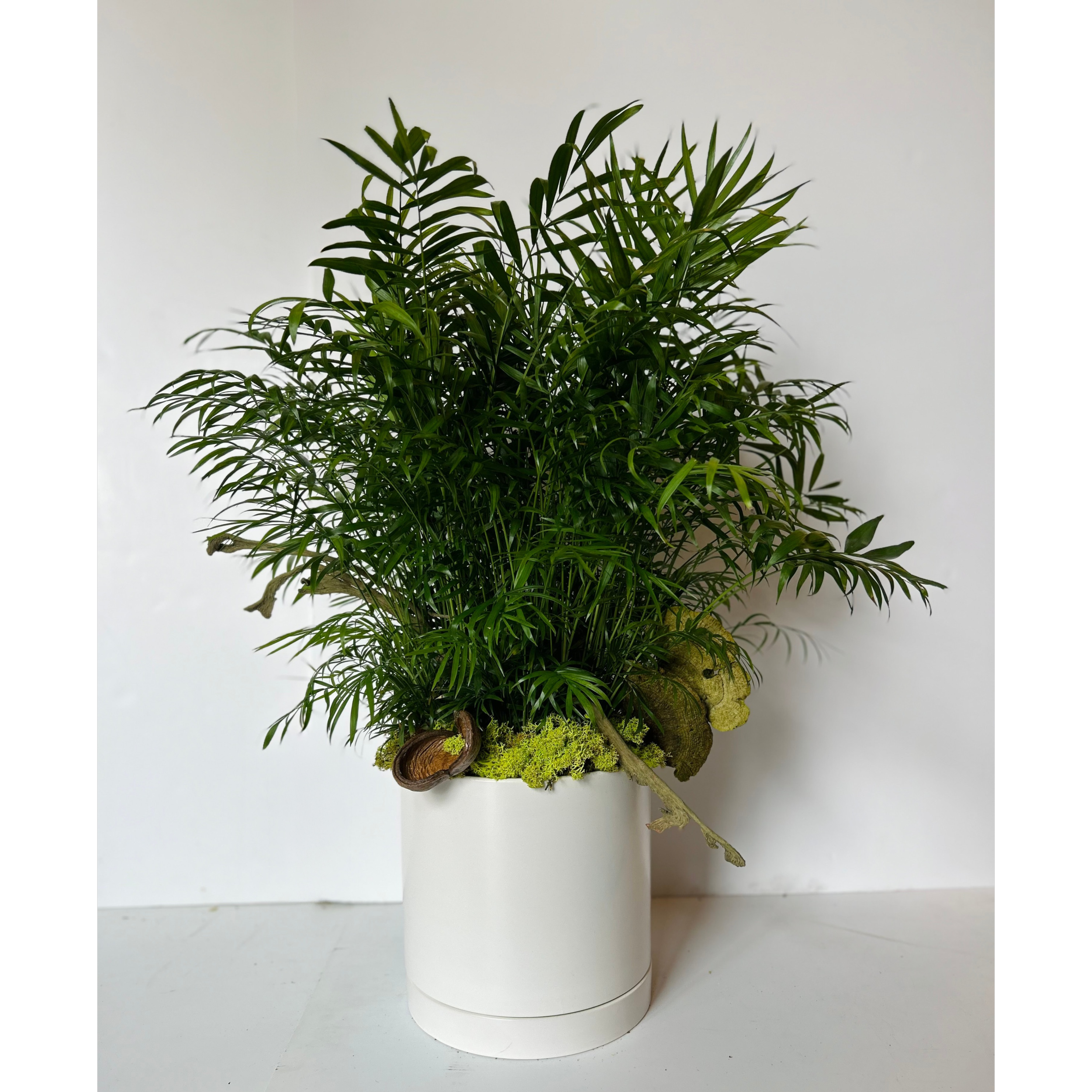 Large romey pot 2 cropped final.png