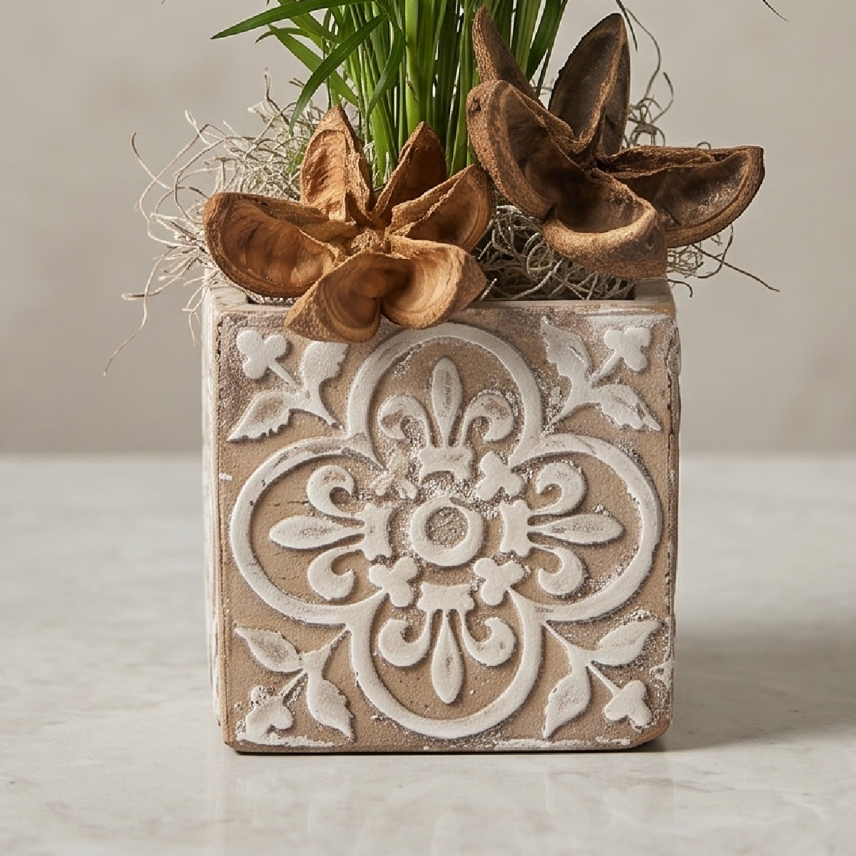 live plant palm in etched with pods(1).png
