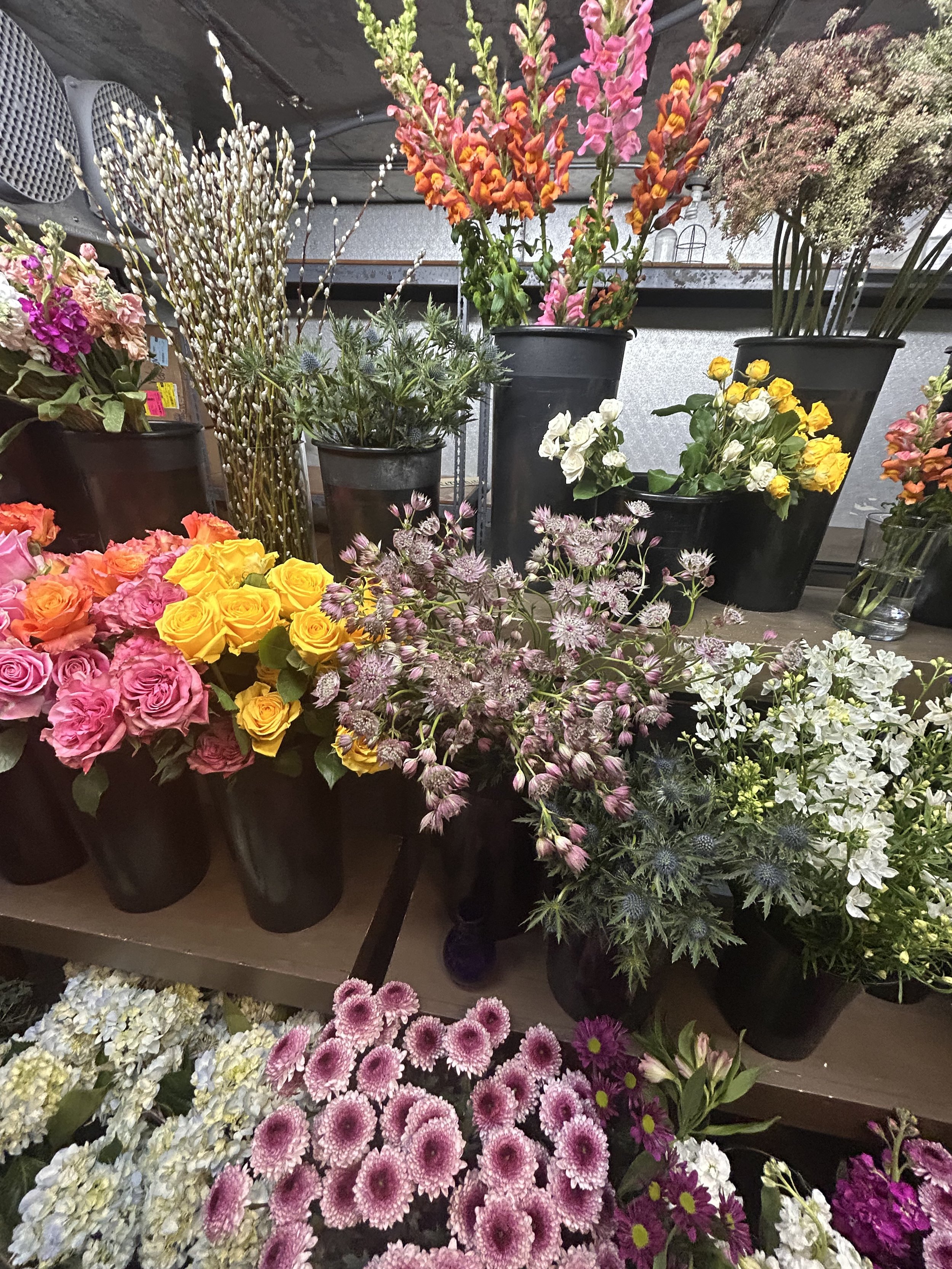 Inside of a cooler featuring 2 tones chrysanthemums, thistle, bubblegum pink roses, yellow roses, helleborus, orange and pink snapdragons, and more.