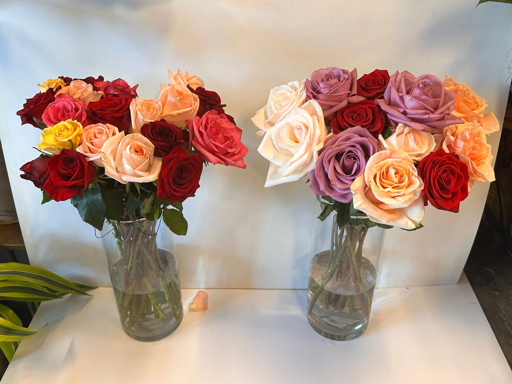 day 5 double frame rose exp.jpg
