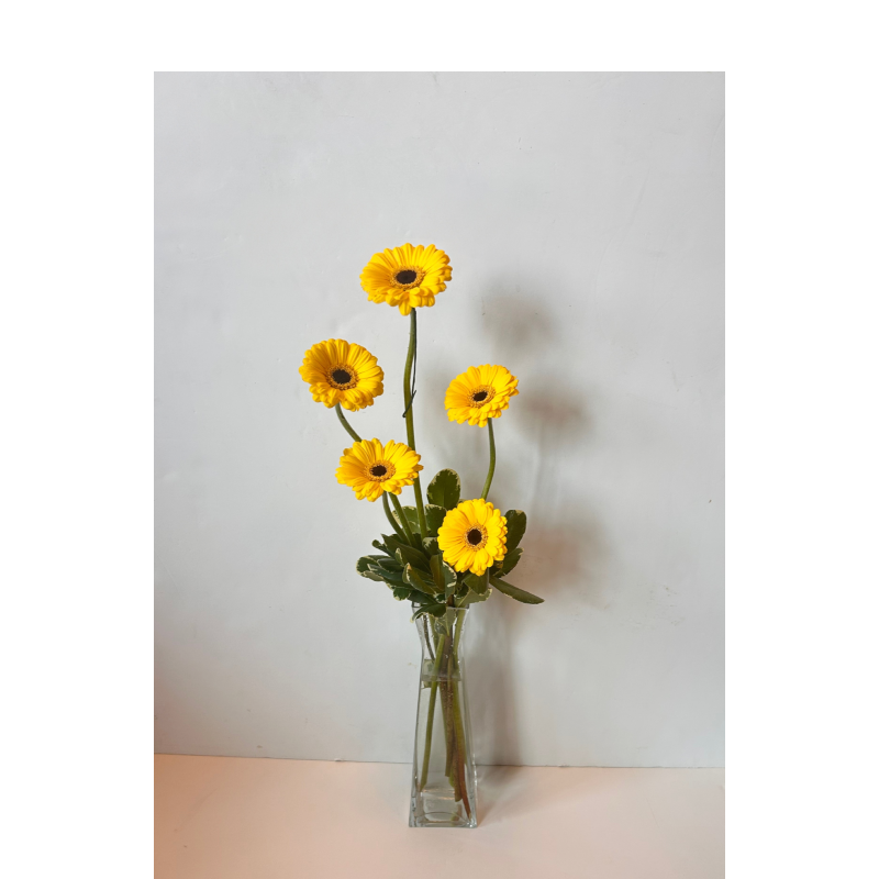 gerb your enthusiasm budvase.png