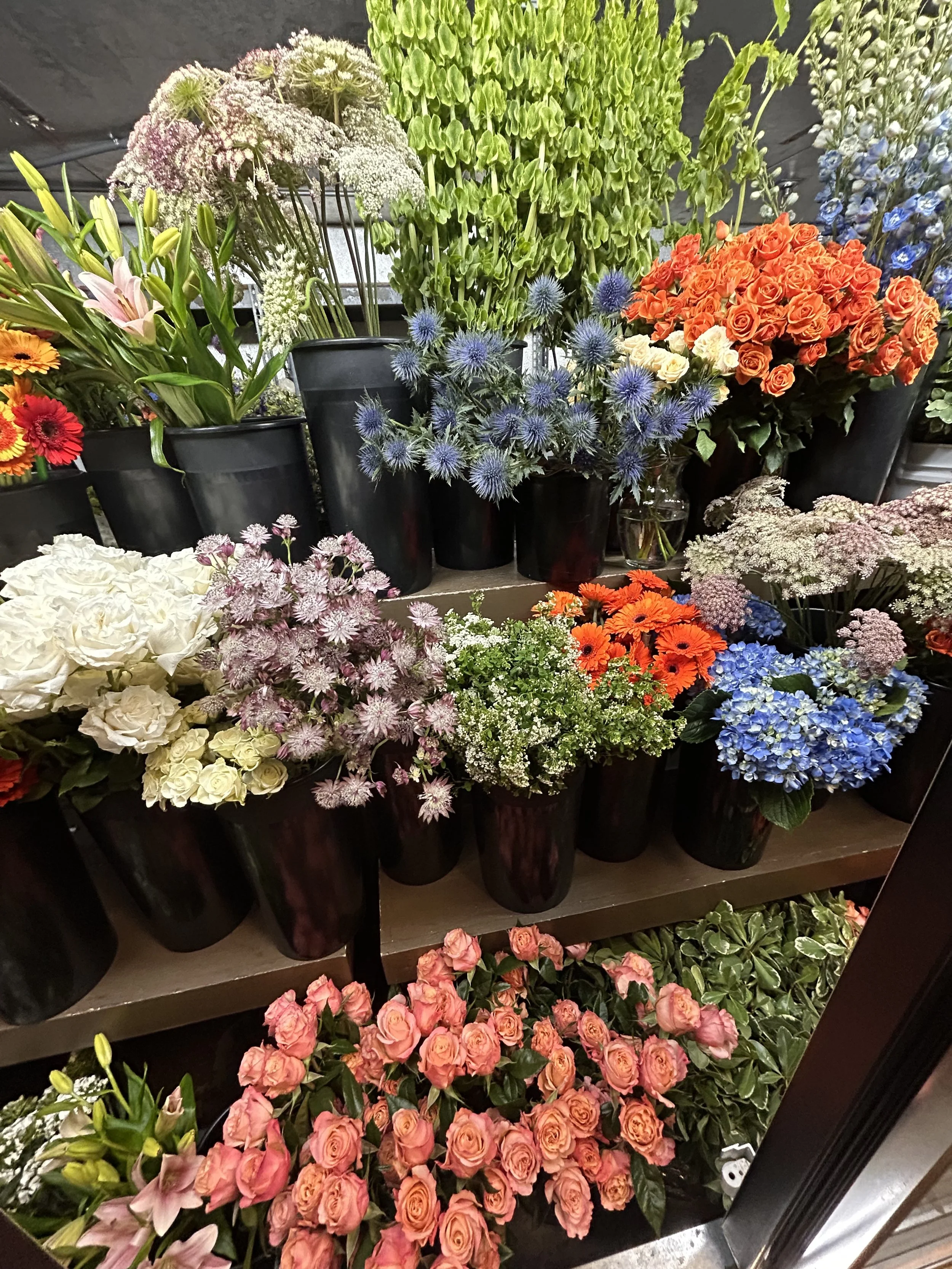 A variety of colorful flowers in black pots displayed on a shelf, including pink roses, white hydrangeas, purple allium, orange roses, and blue hydrangeas.