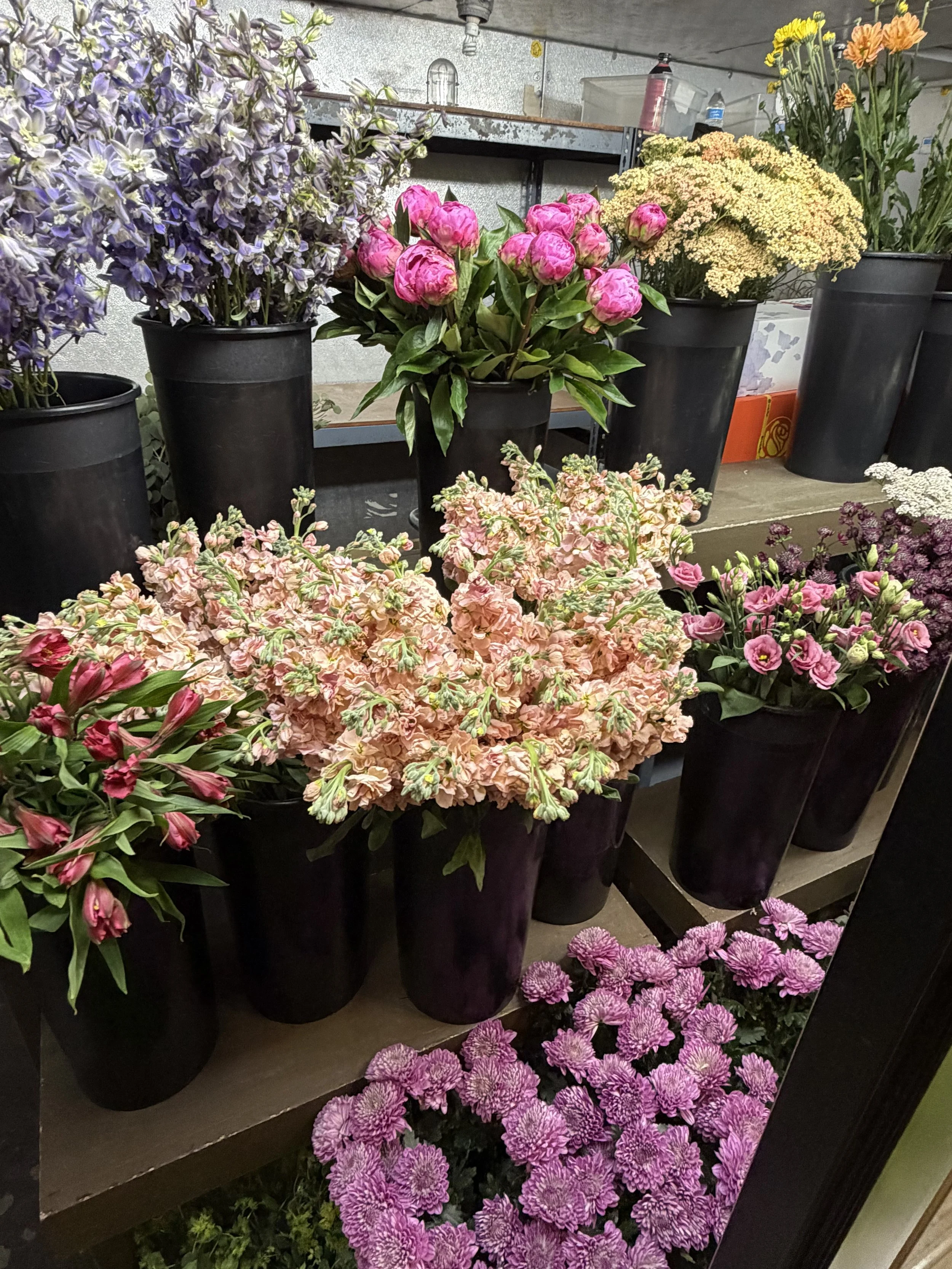 Various potted flowers in a store with some on a shelf and others on the floor, including purple, pink, yellow, and white blooms.
