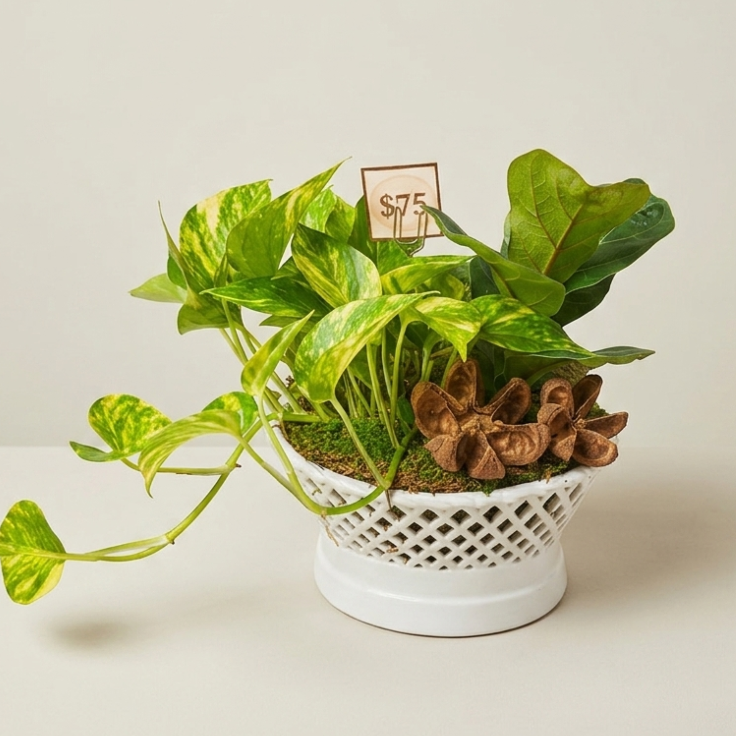 mesh ceramic container.png