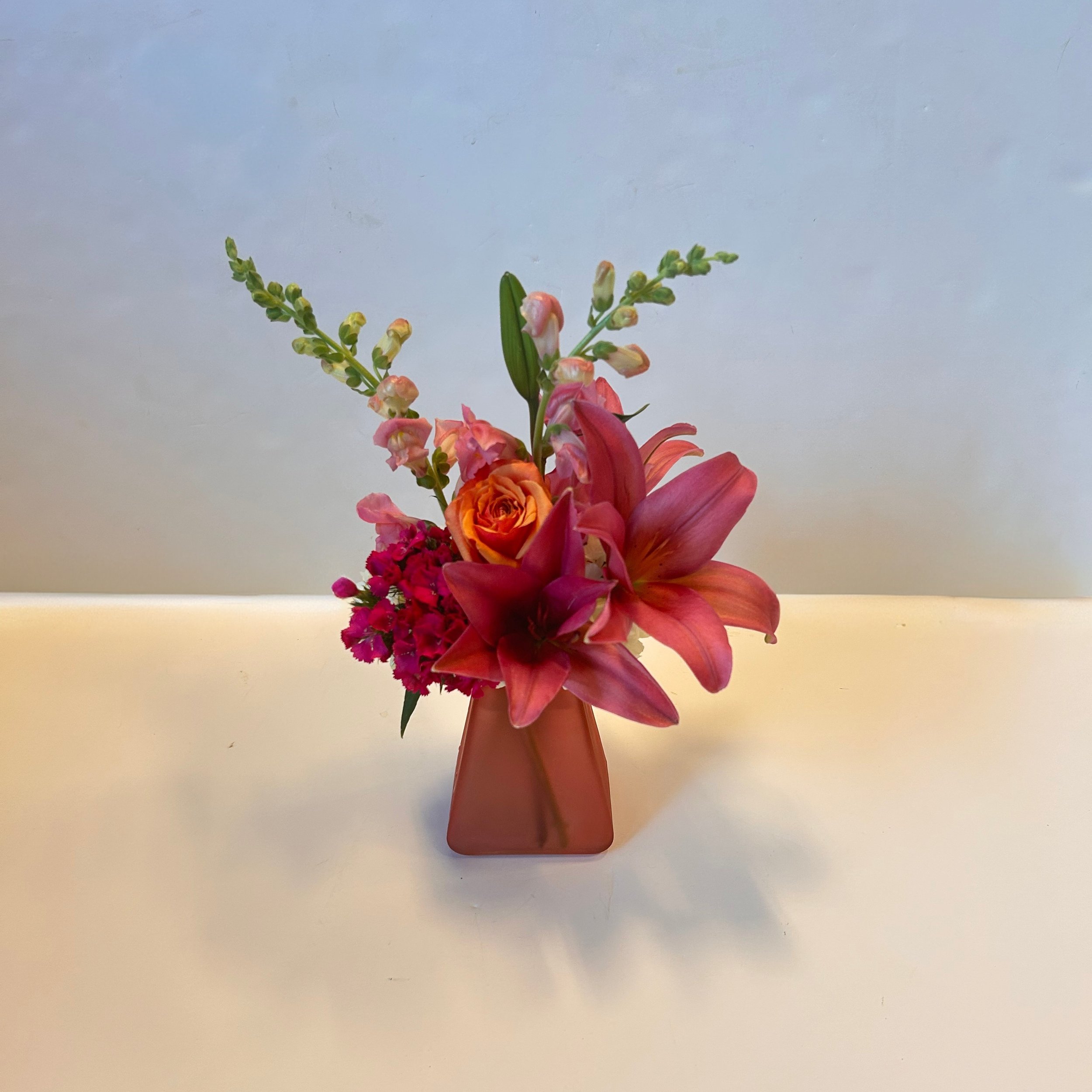 Designer's choice mini.jpg