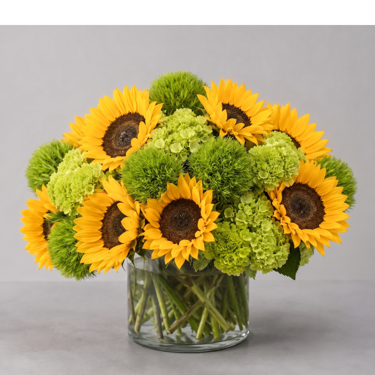 sunflower verde.png