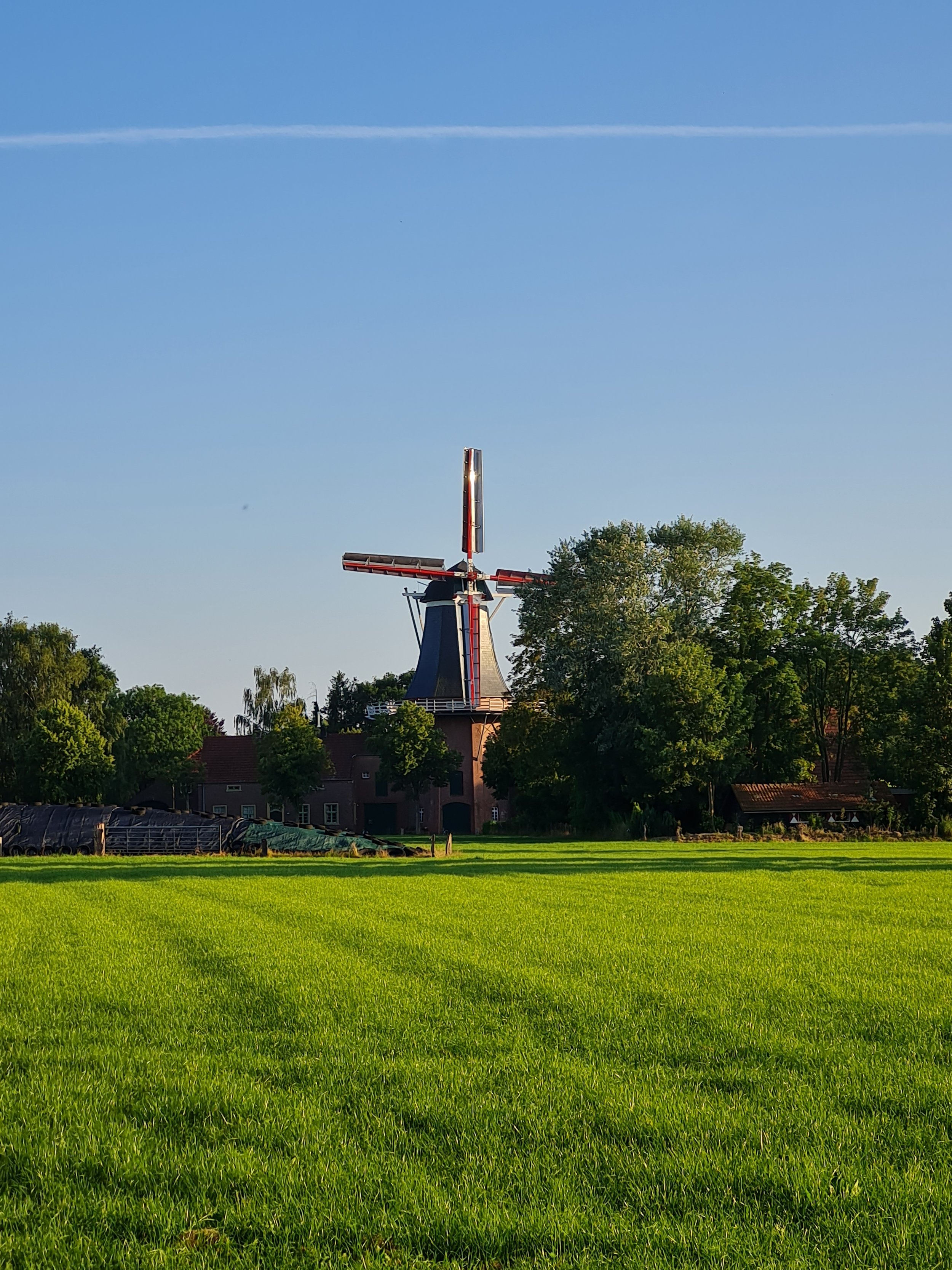 Windmühle steht inmitten einer grünen Wiese, umgeben von Bäumen und blauem Himmel.
