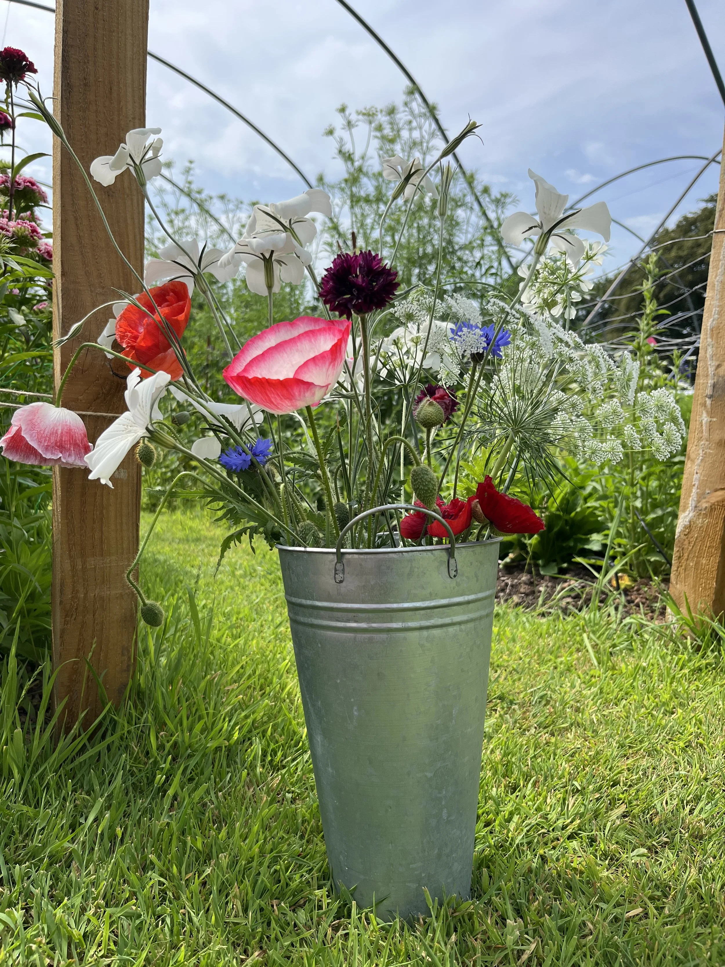 Pick Your Own Sunday 14 June - 12 noon