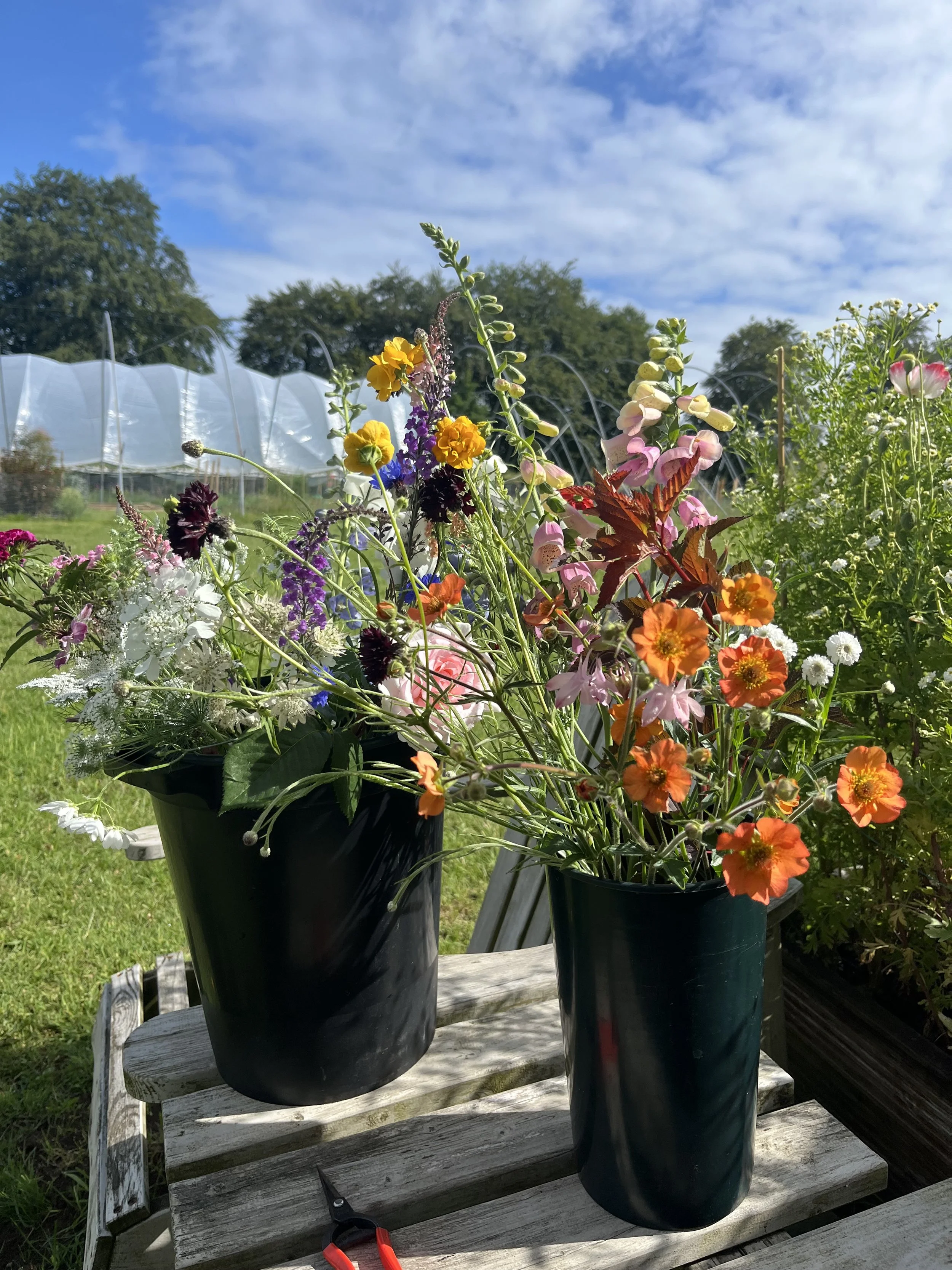 DIY Flower Buckets