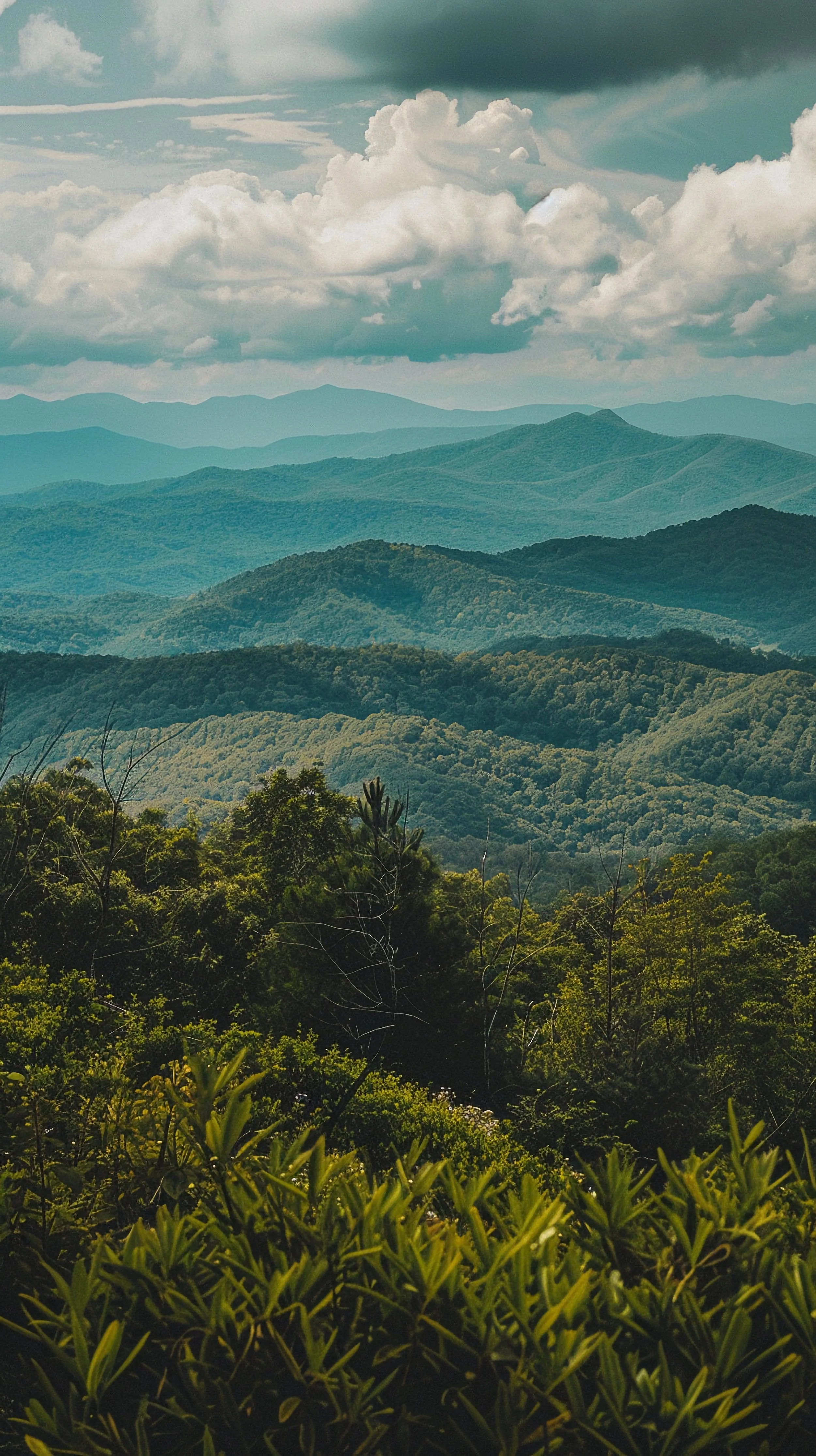 Scenic view of a mountain range with lush green trees and hills under a partly cloudy sky.