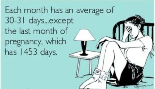 last month of pregnancy meme