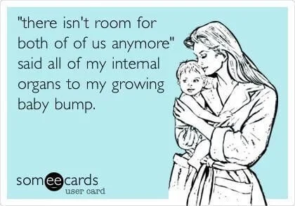 pregnancy memes funny
