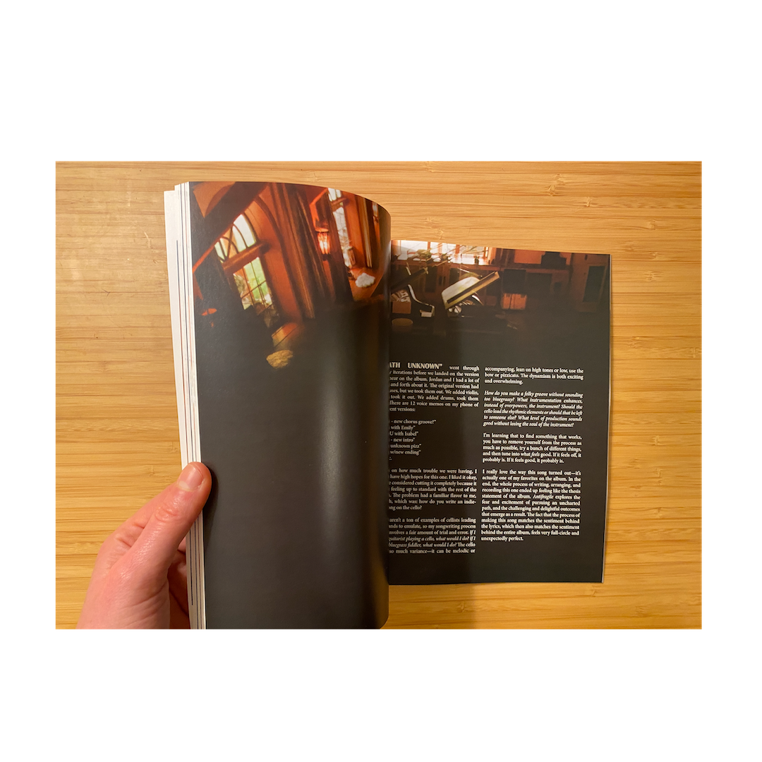 Magazine_Antifragile-04 copy.png