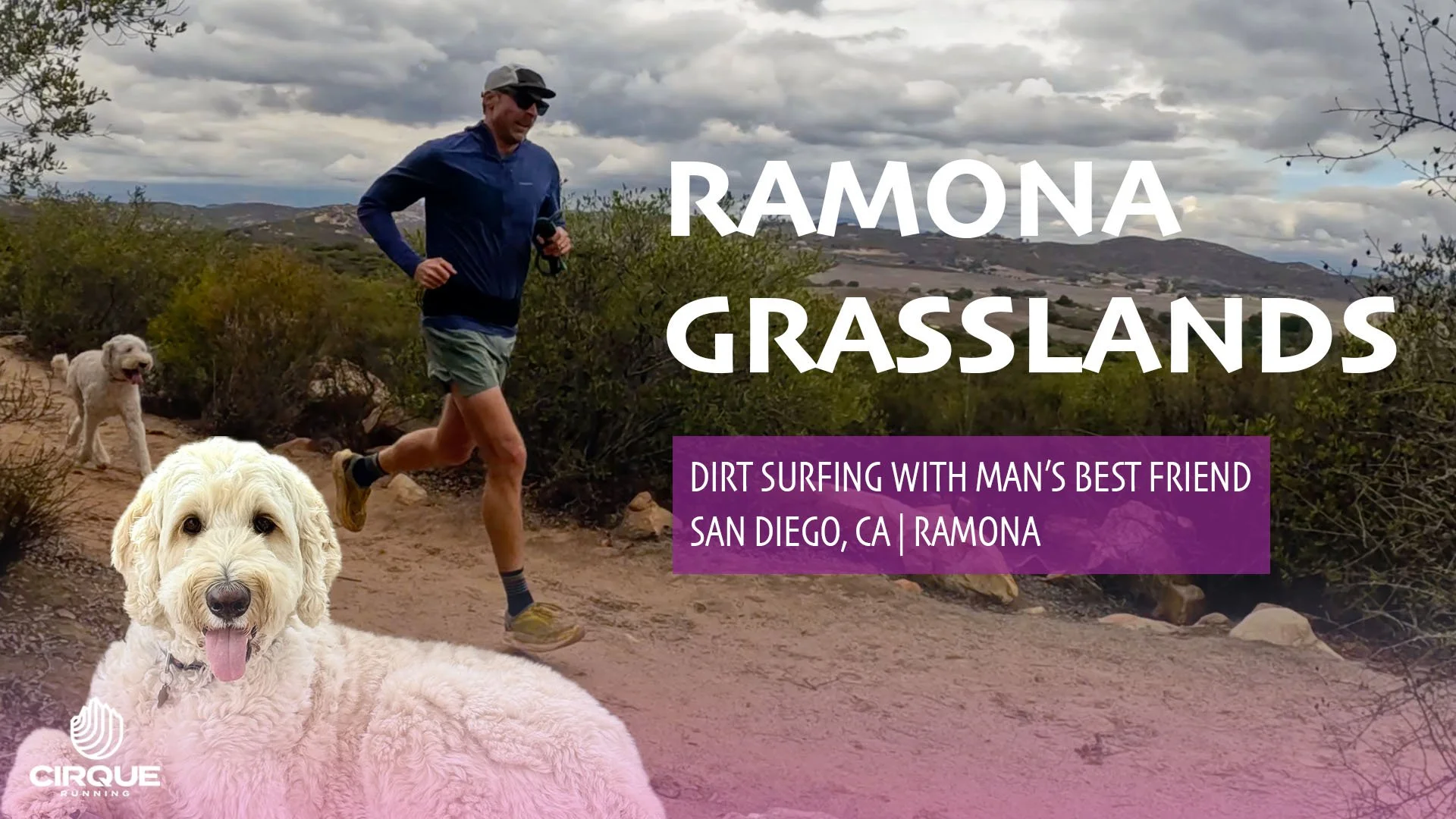 Ramona Grasslands Preserve Trail Running Labradoodles