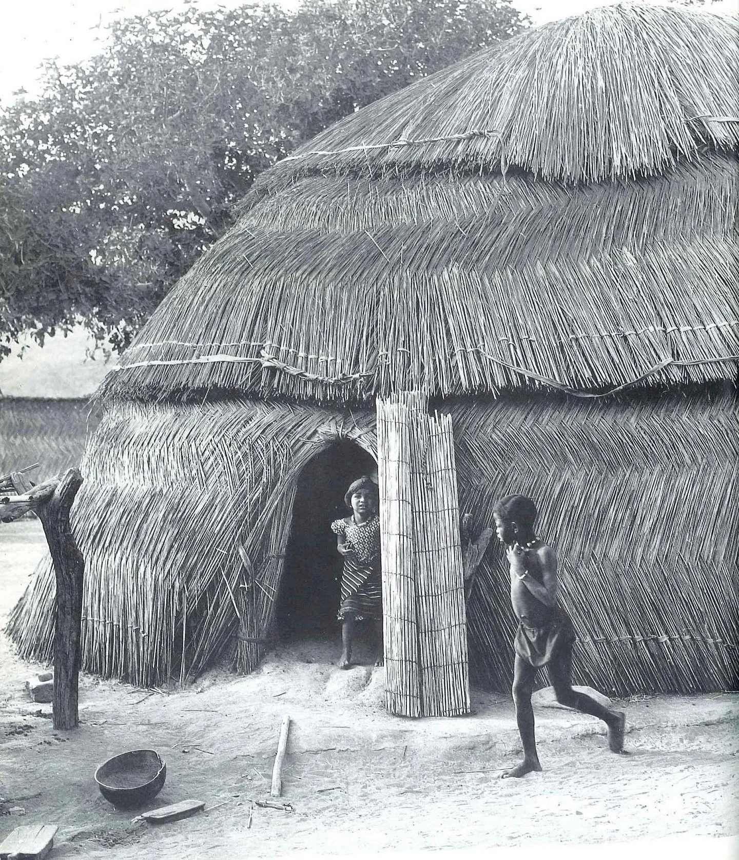 El refugio. Cobijo. 

A lo largo de nuestra historia, en la observaci&oacute;n de la naturaleza, hemos aprendido a imitar los refugios de diferentes animales como inspiraci&oacute;n para la construcci&oacute;n de nuestros espacios.