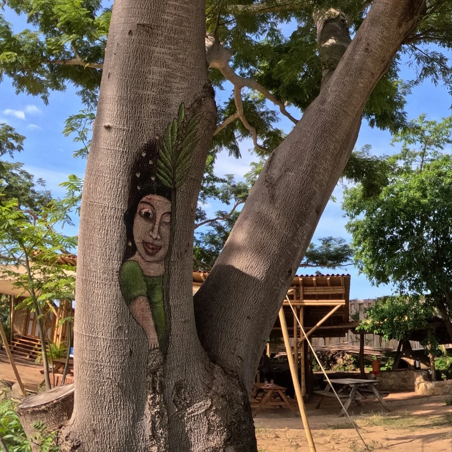 Nuestra misi&oacute;n es rescatar nuestras ra&iacute;ces a trav&eacute;s de la recuperaci&oacute;n de conocimientos ancestrales.

Volver a la tierra. Rescatar y compartir saberes.

Este &aacute;rbol de huanacaxtle es parte esencial en nuestro espacio